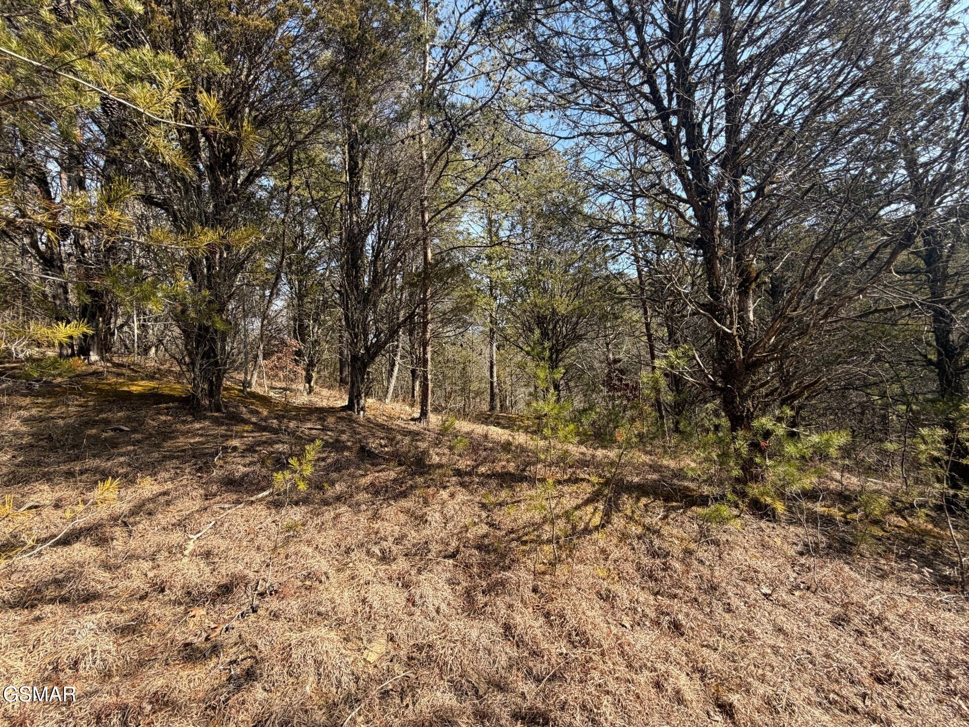 Lot 3 Kellum Creek Road Sevierville TN 37876