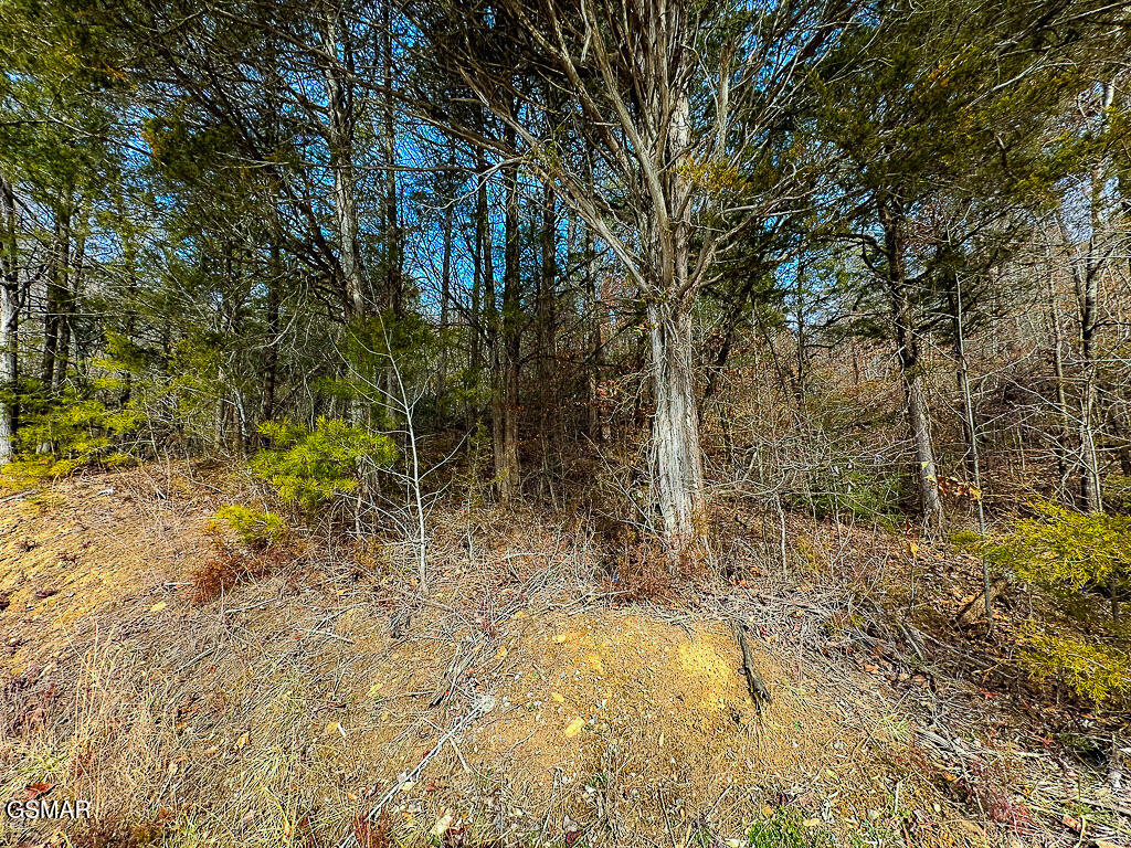 Lot 3 Kellum Creek Road Sevierville TN 37876