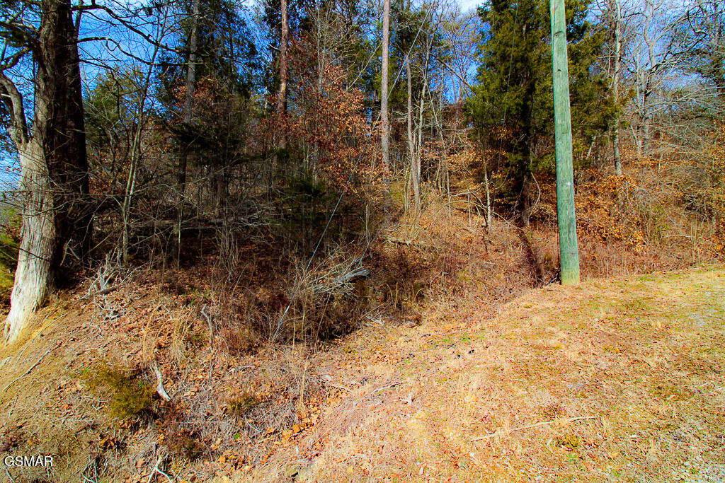 Lot 3 Kellum Creek Road Sevierville TN 37876