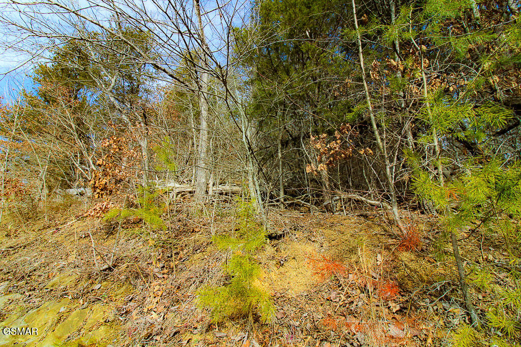 Lot 3 Kellum Creek Road Sevierville TN 37876