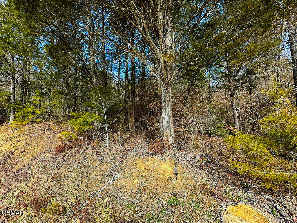 Lot 3 Kellum Creek Road Sevierville TN 37876