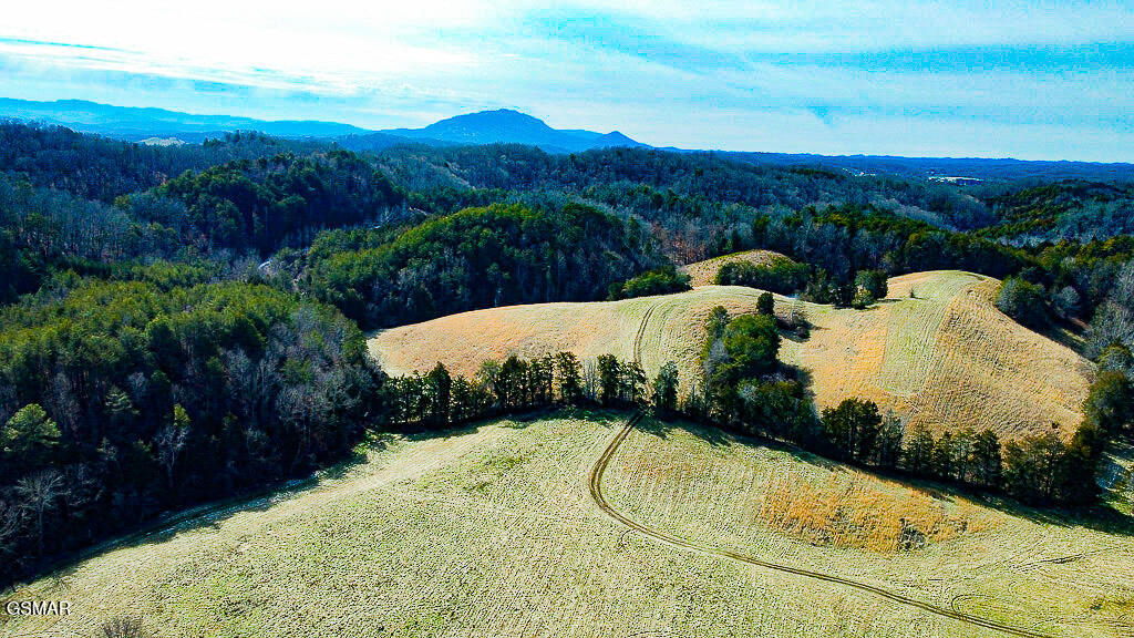 Lot 3 Kellum Creek Road Sevierville TN 37876