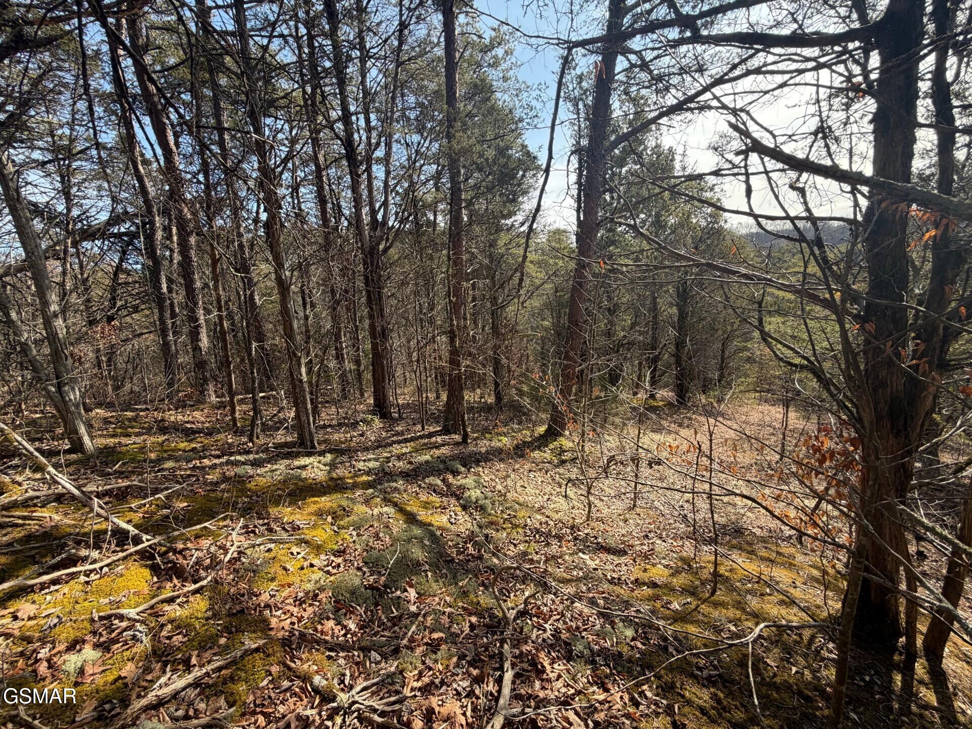 Lot 3 Kellum Creek Road Sevierville TN 37876