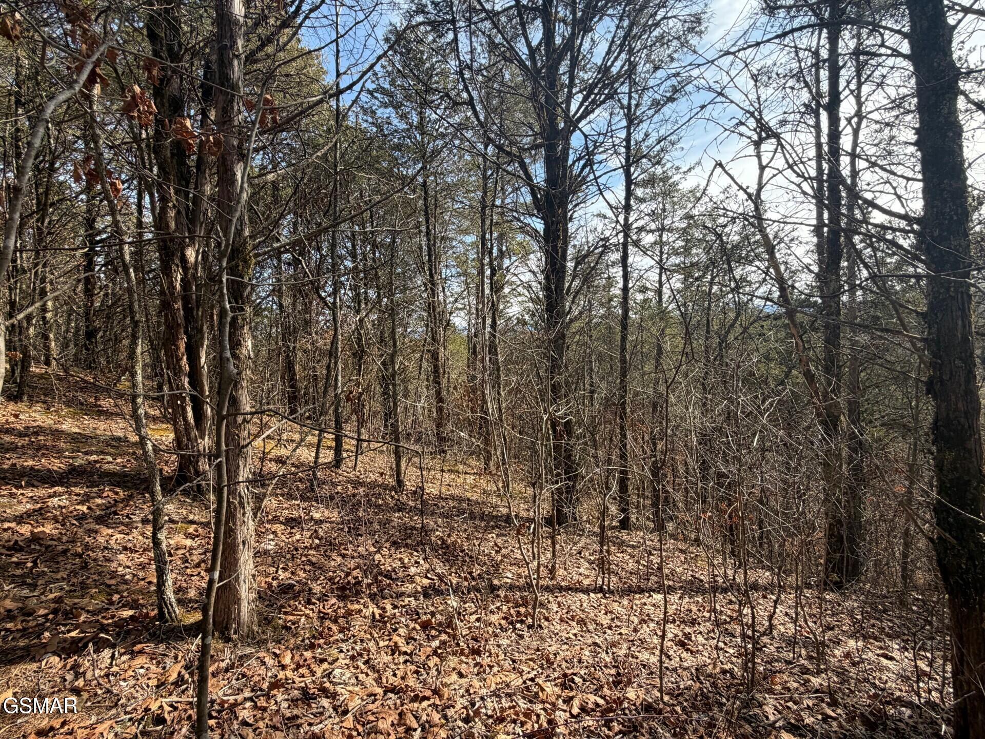 Lot 3 Kellum Creek Road Sevierville TN 37876