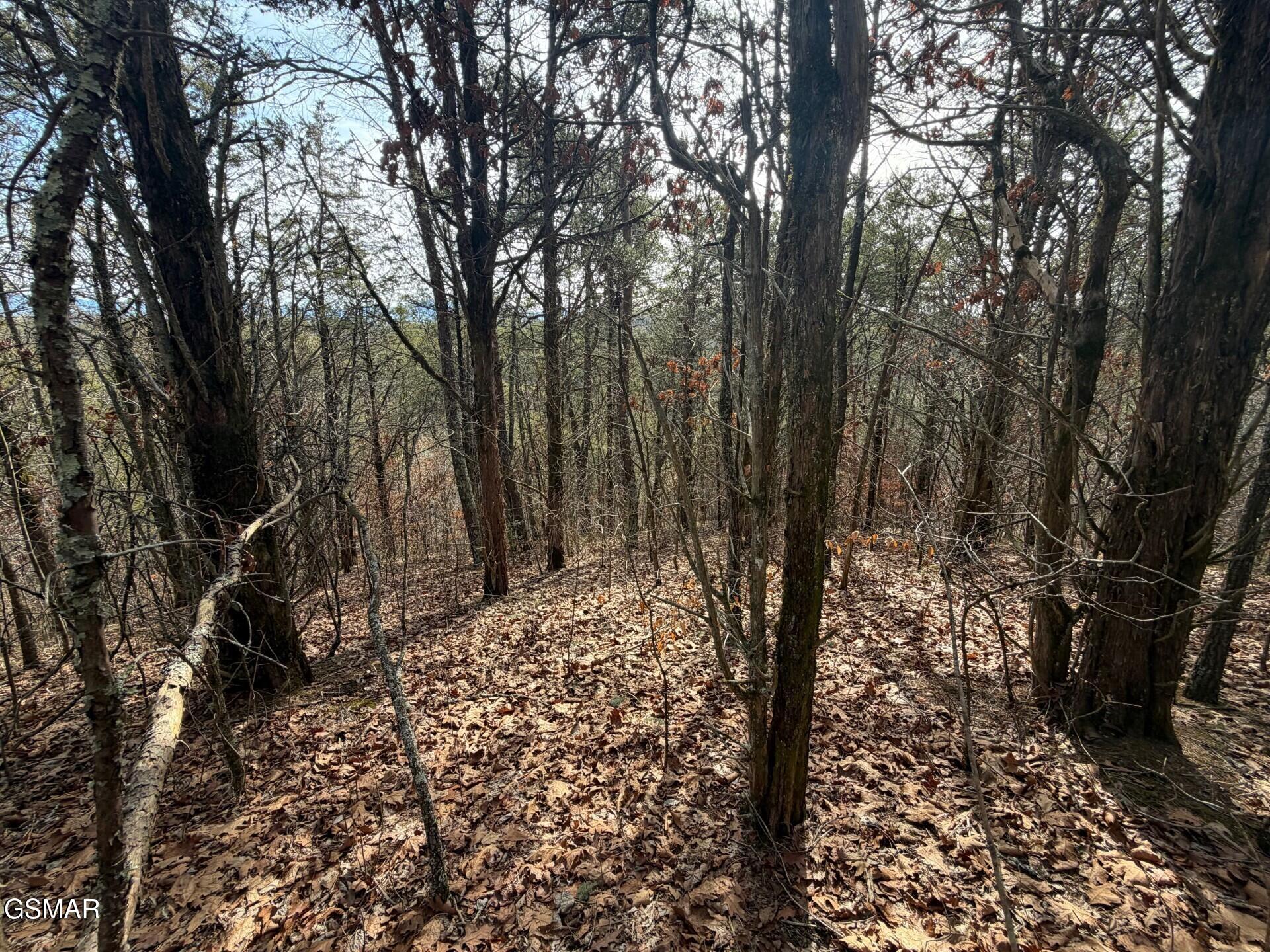 Lot 3 Kellum Creek Road Sevierville TN 37876