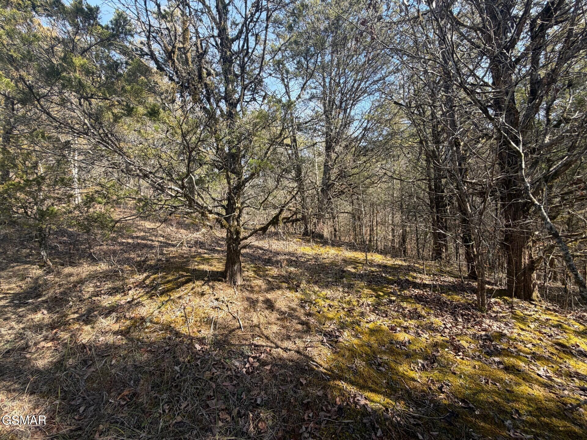 Lot 3 Kellum Creek Road Sevierville TN 37876