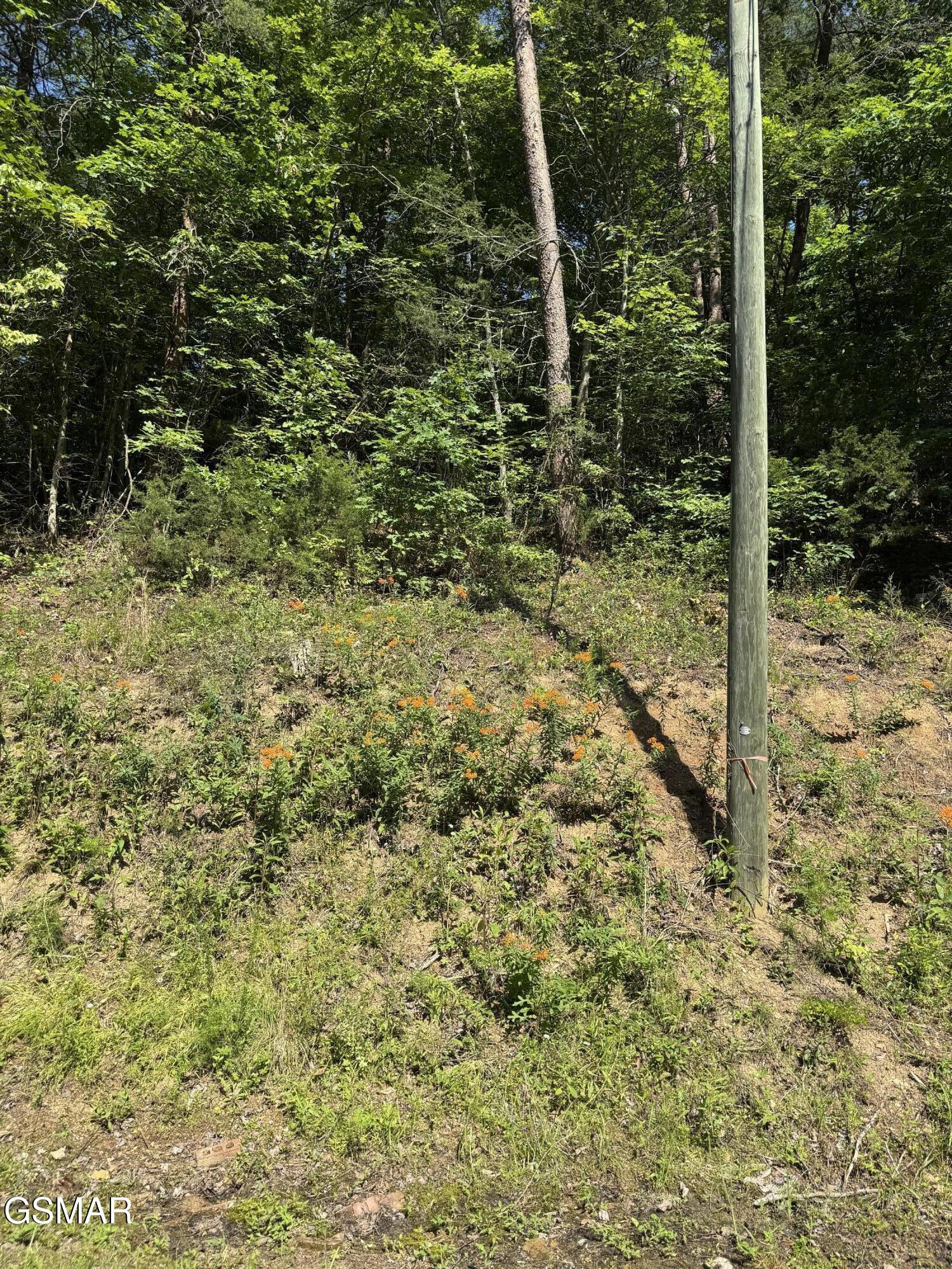Lot 23 Walden Ridge Road Sevierville TN 37862