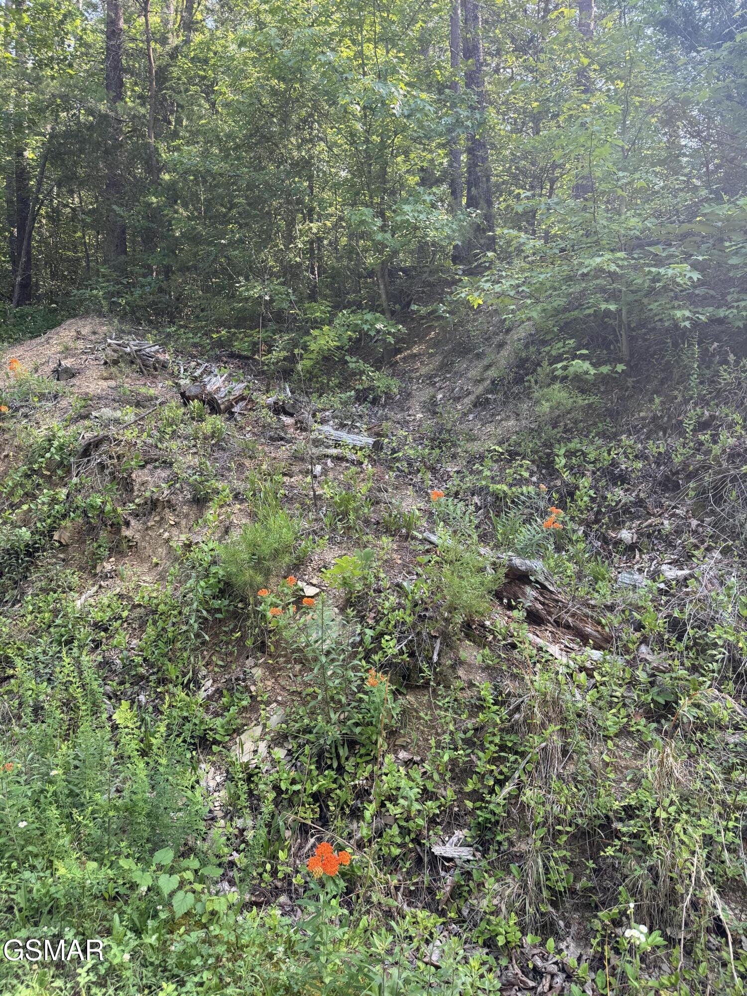 Lot 23 Walden Ridge Road Sevierville TN 37862