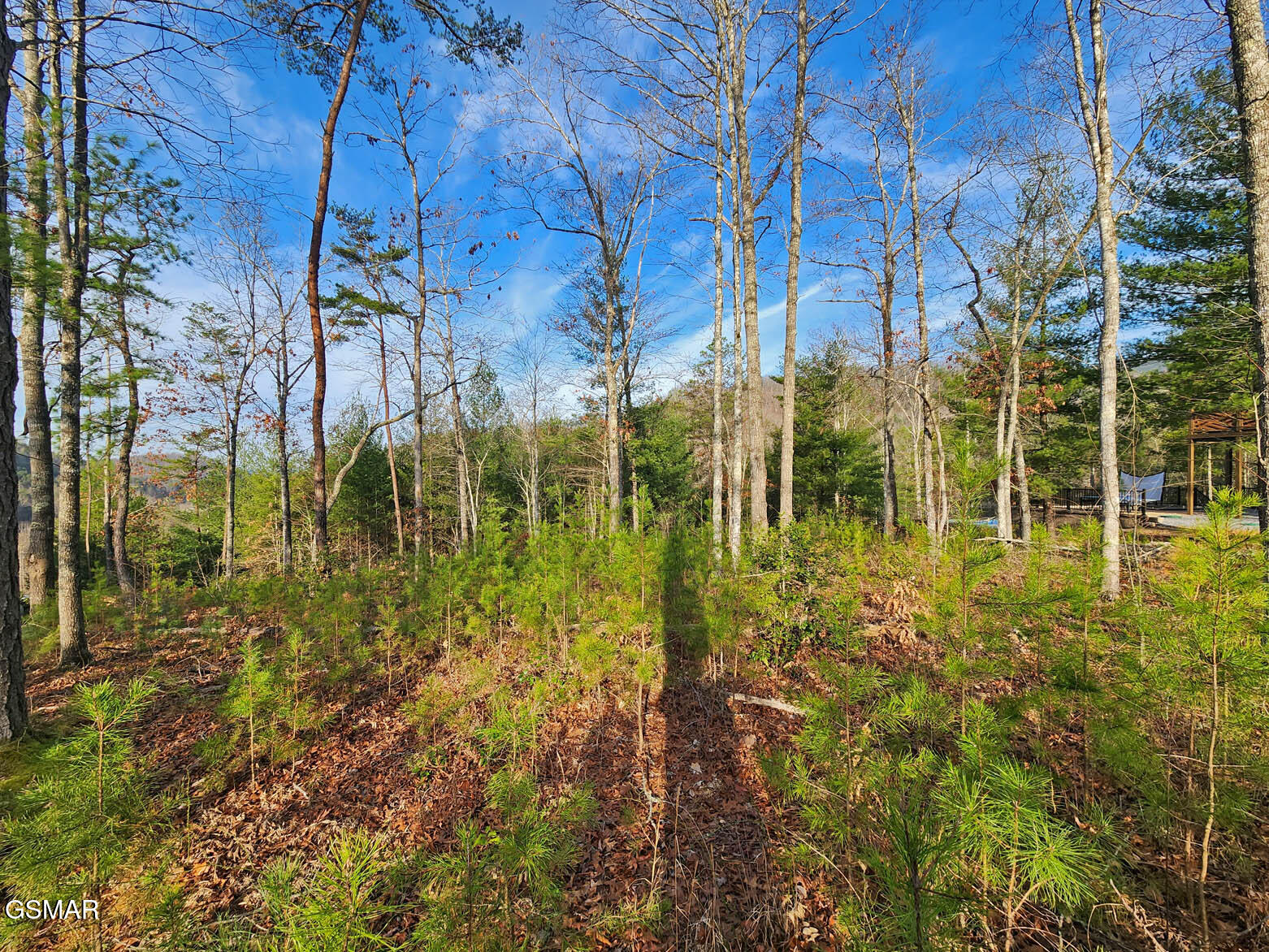 Lot 3 Mountain Ash Way Sevierville TN 37876