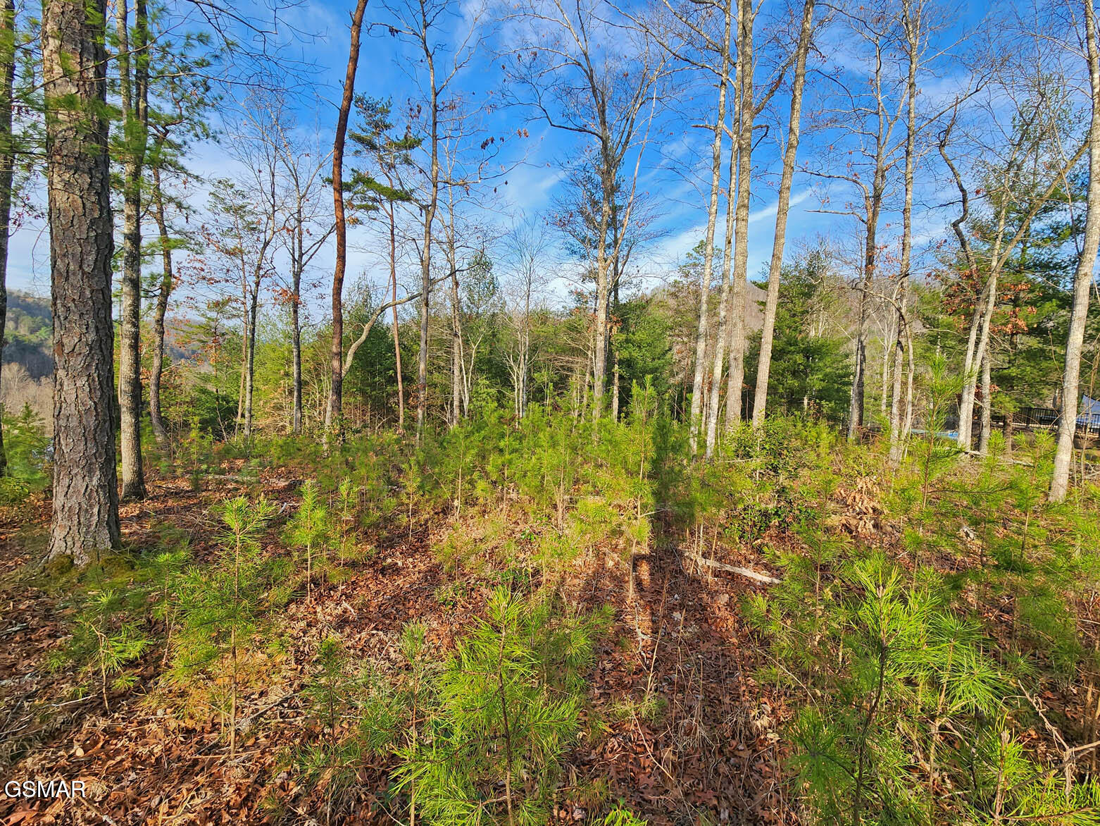 Lot 3 Mountain Ash Way Sevierville TN 37876