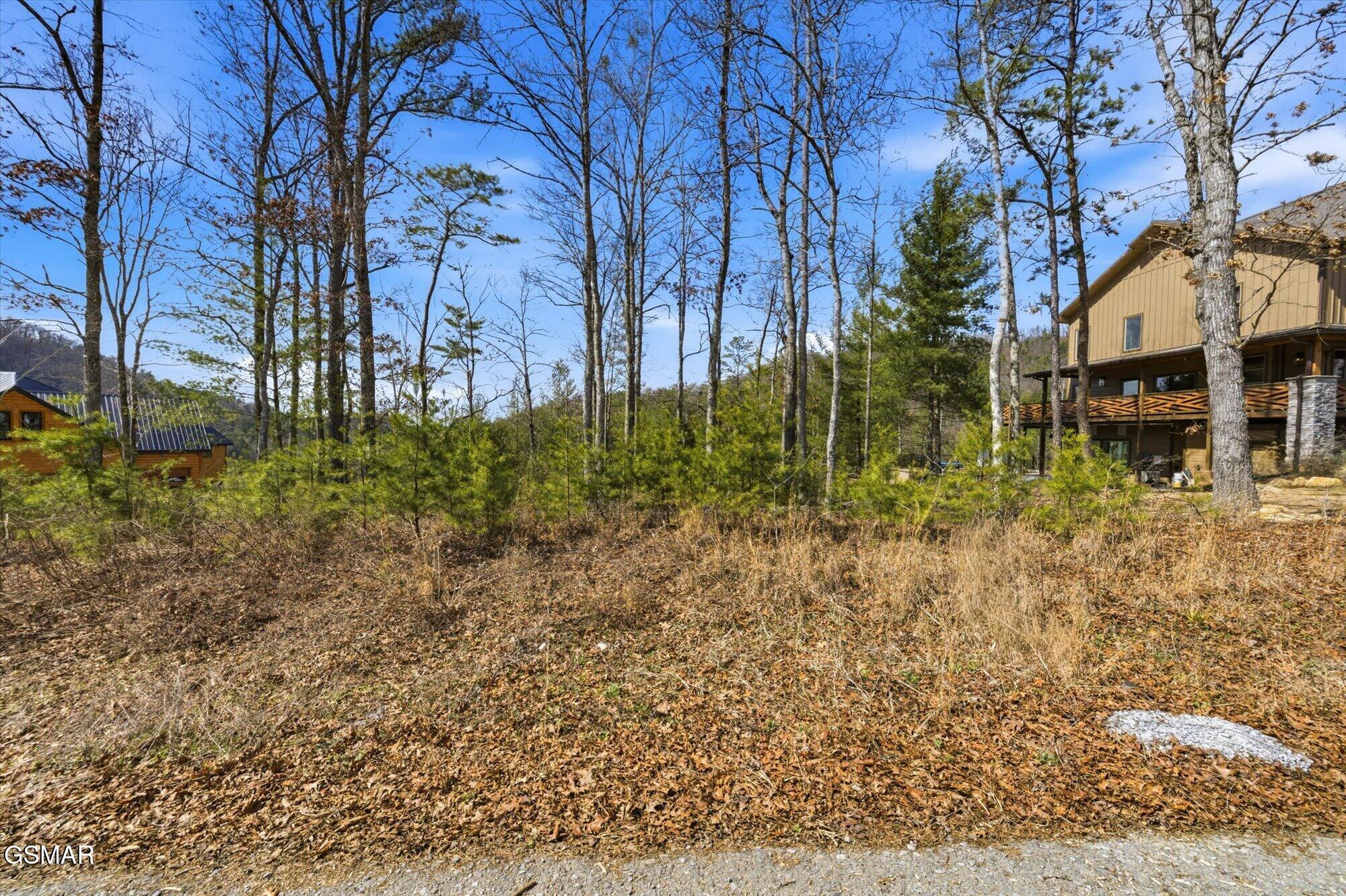 Lot 3 Mountain Ash Way Sevierville TN 37876