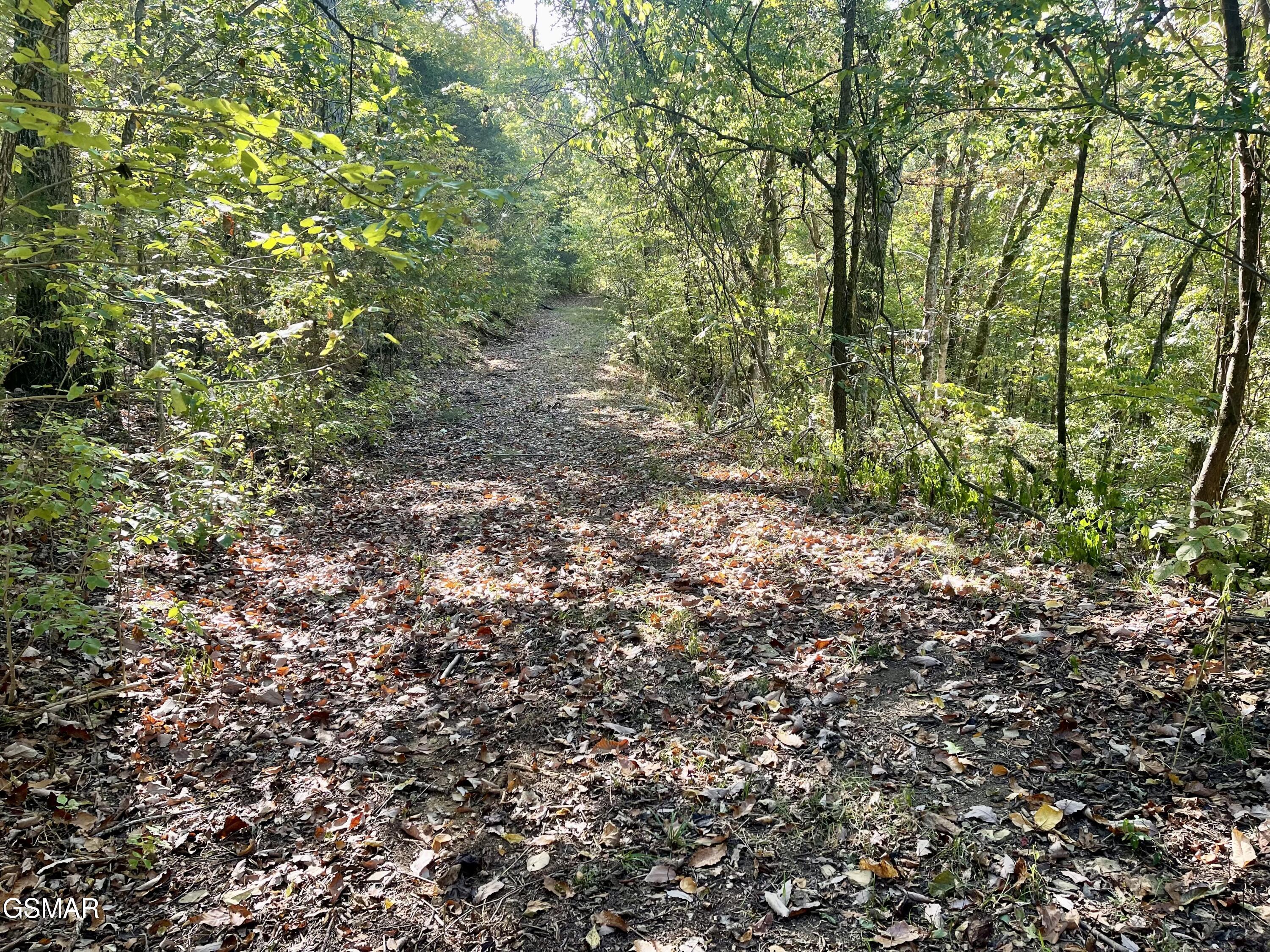 0 Thurman Road Newport TN 37821