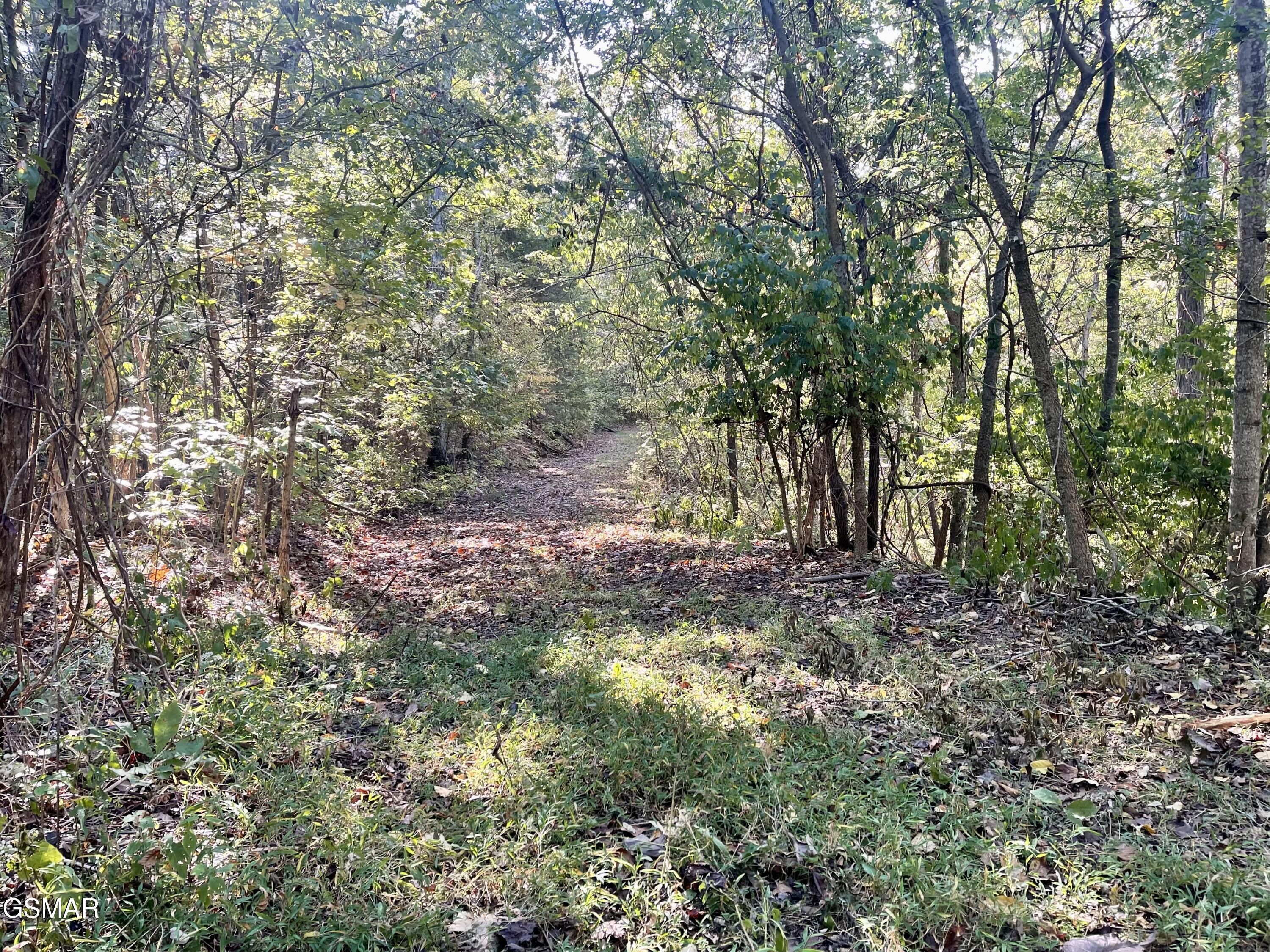 0 Thurman Road Newport TN 37821