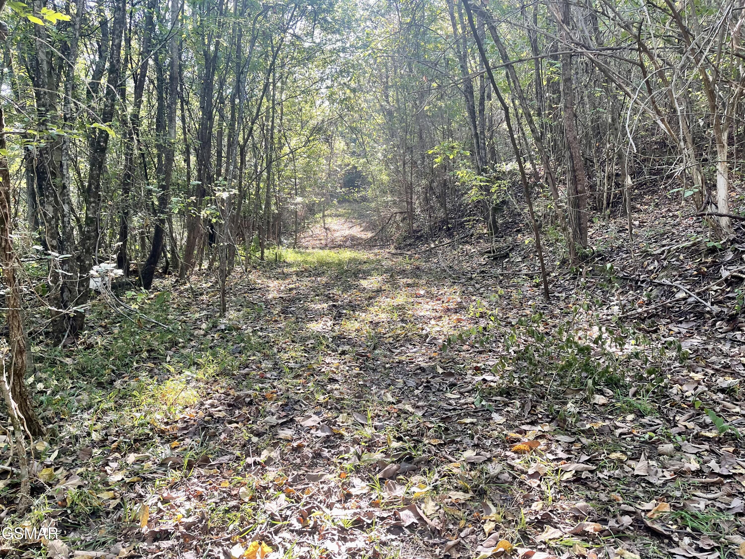 0 Thurman Road Newport TN 37821