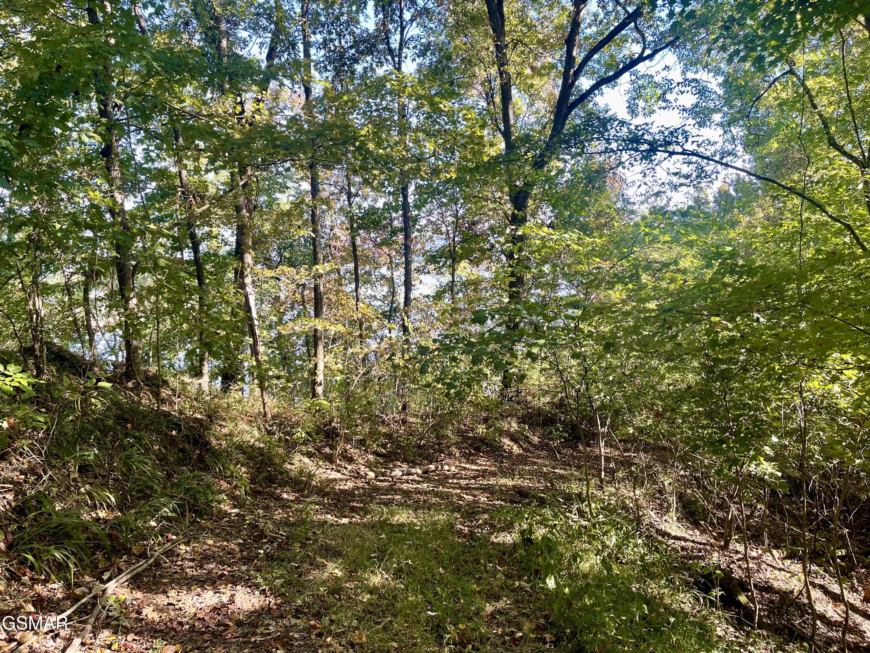 0 Thurman Road Newport TN 37821