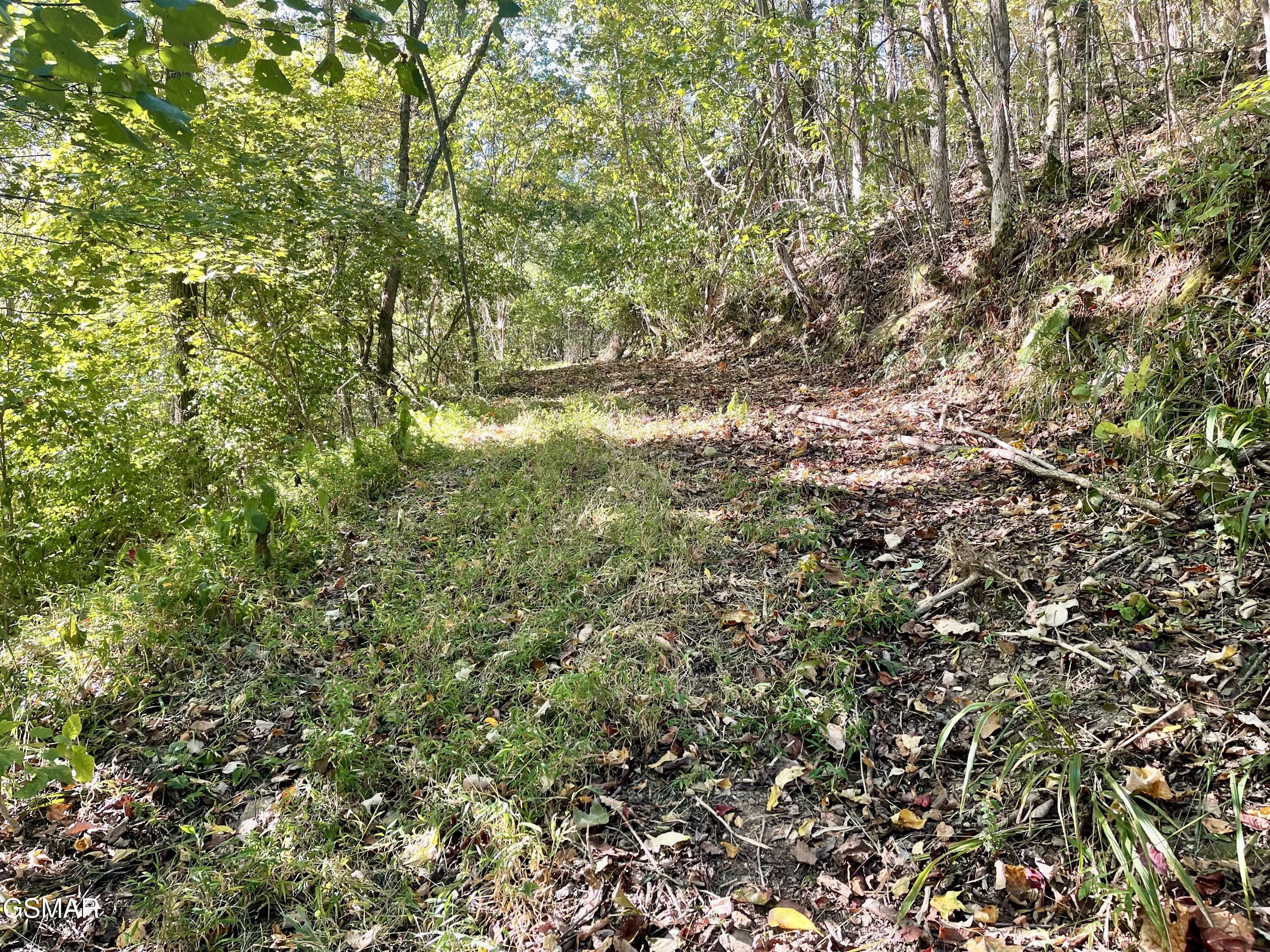 0 Thurman Road Newport TN 37821