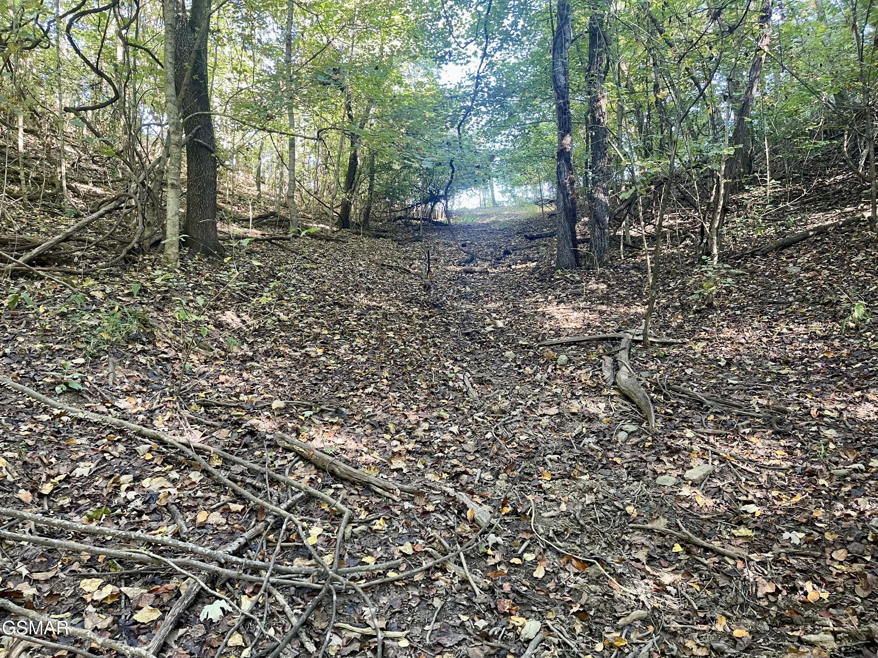 0 Thurman Road Newport TN 37821