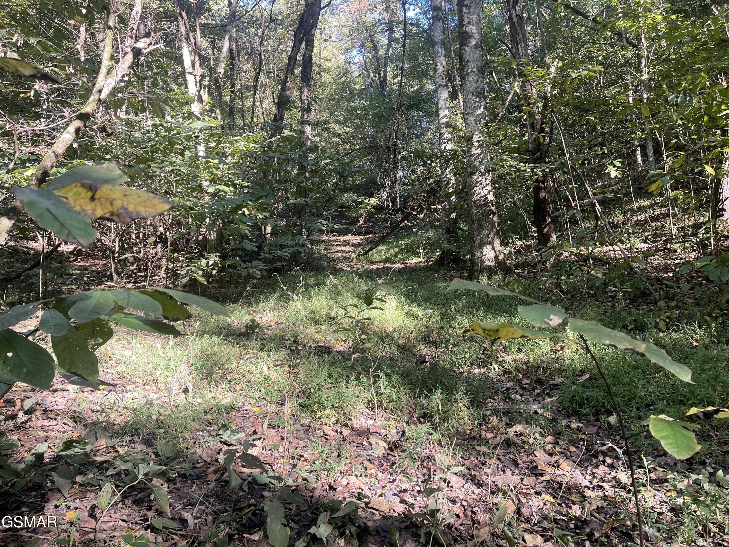 0 Thurman Road Newport TN 37821