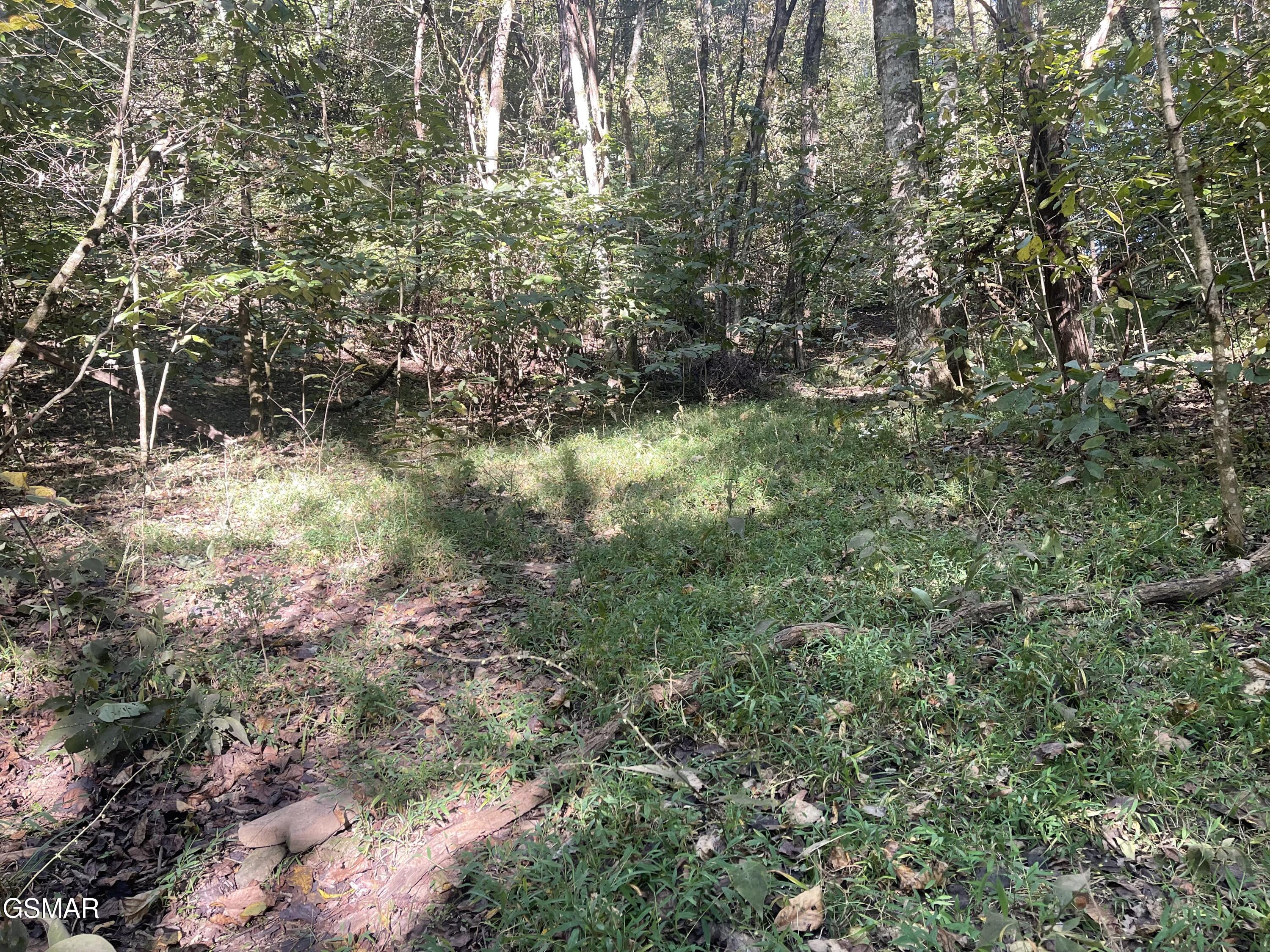 0 Thurman Road Newport TN 37821