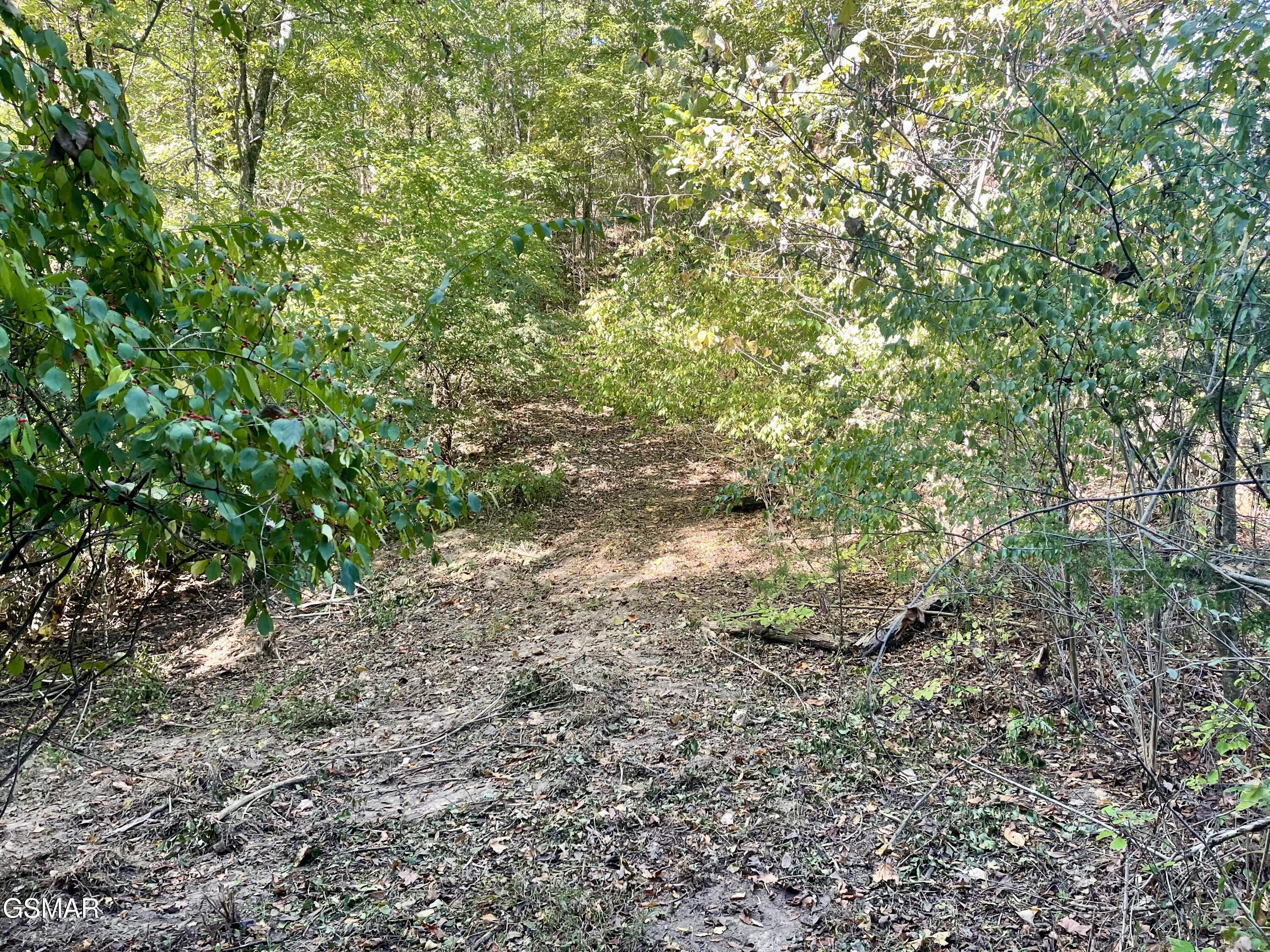 0 Thurman Road Newport TN 37821