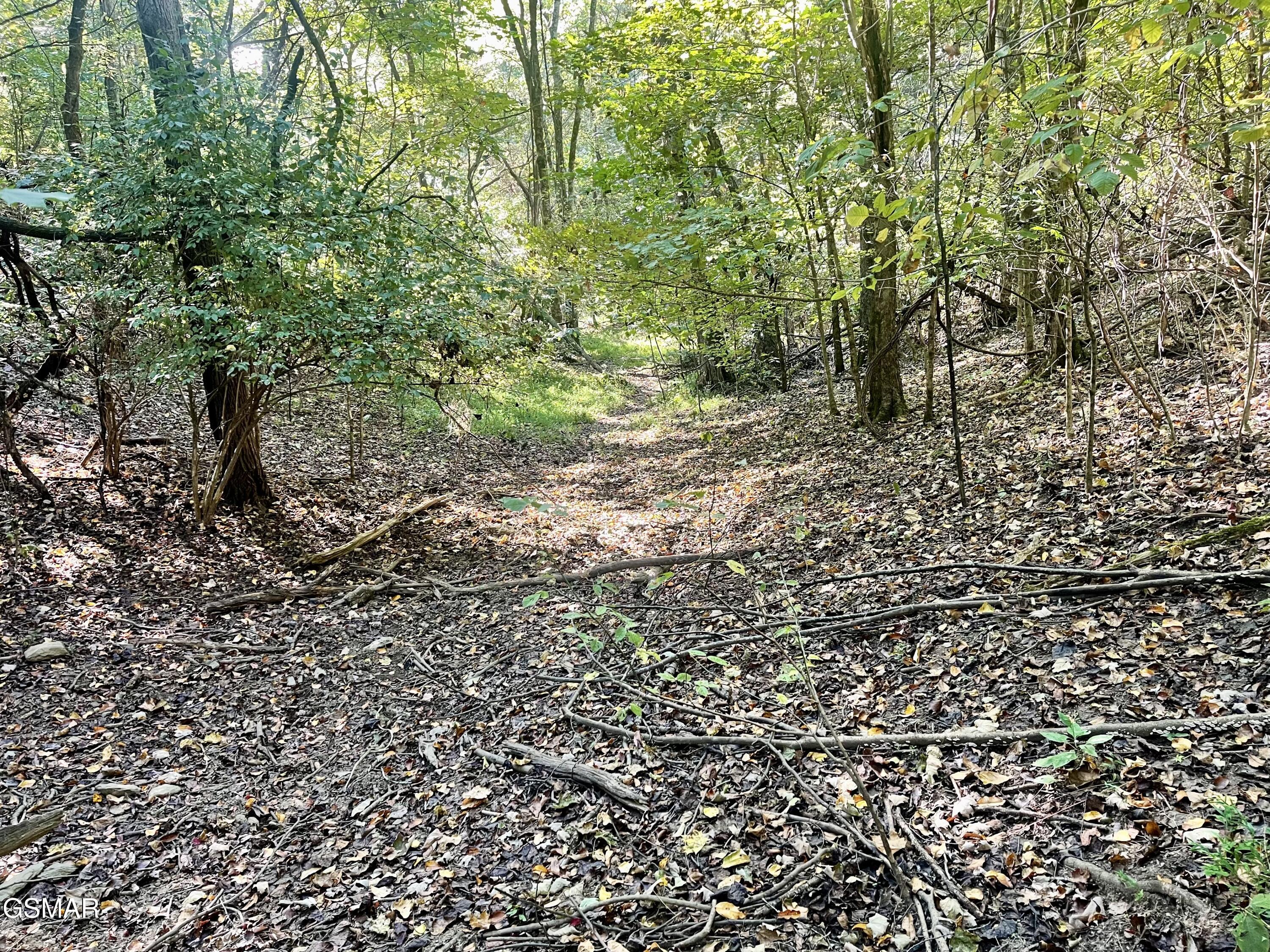 0 Thurman Road Newport TN 37821