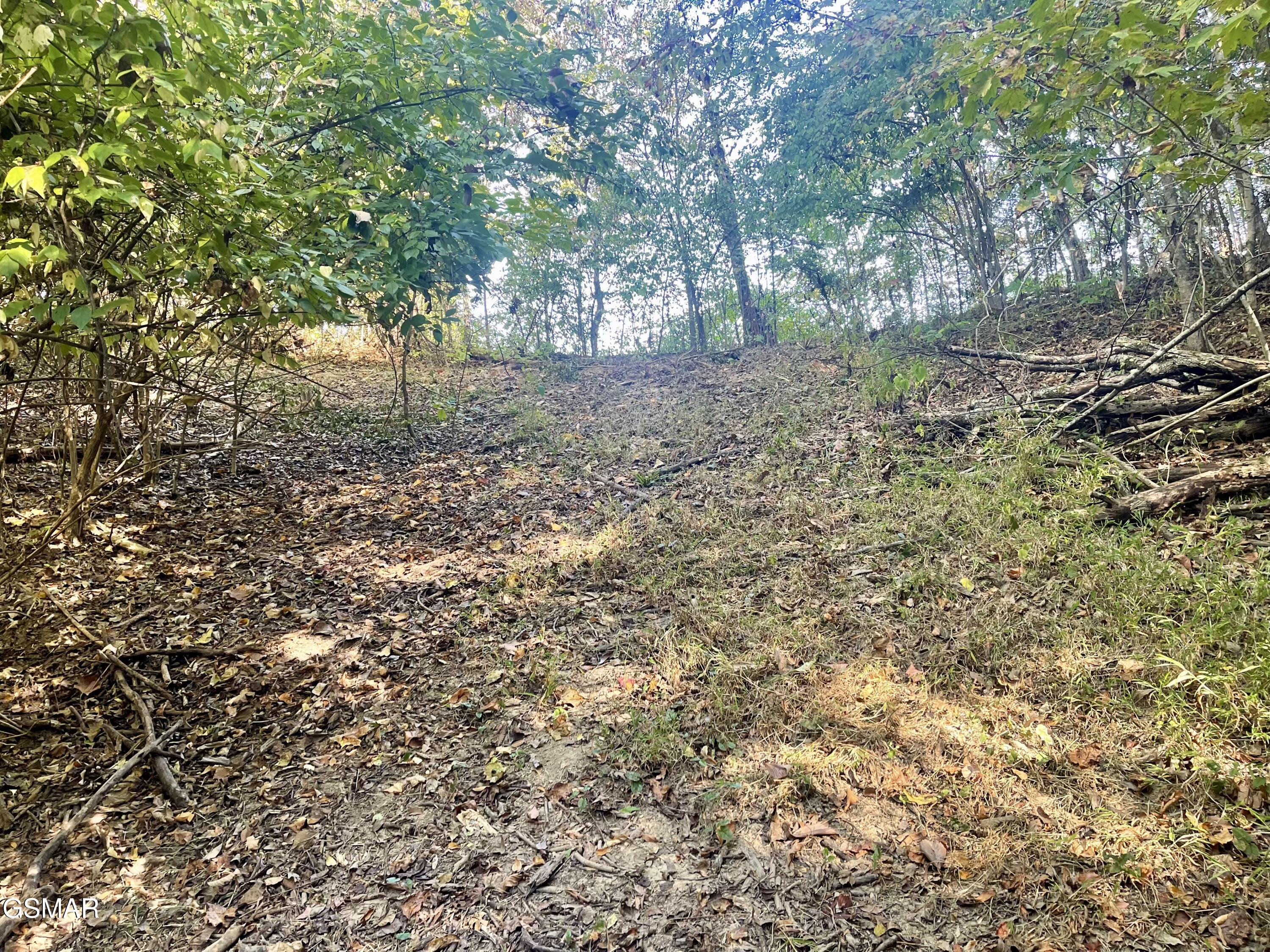0 Thurman Road Newport TN 37821
