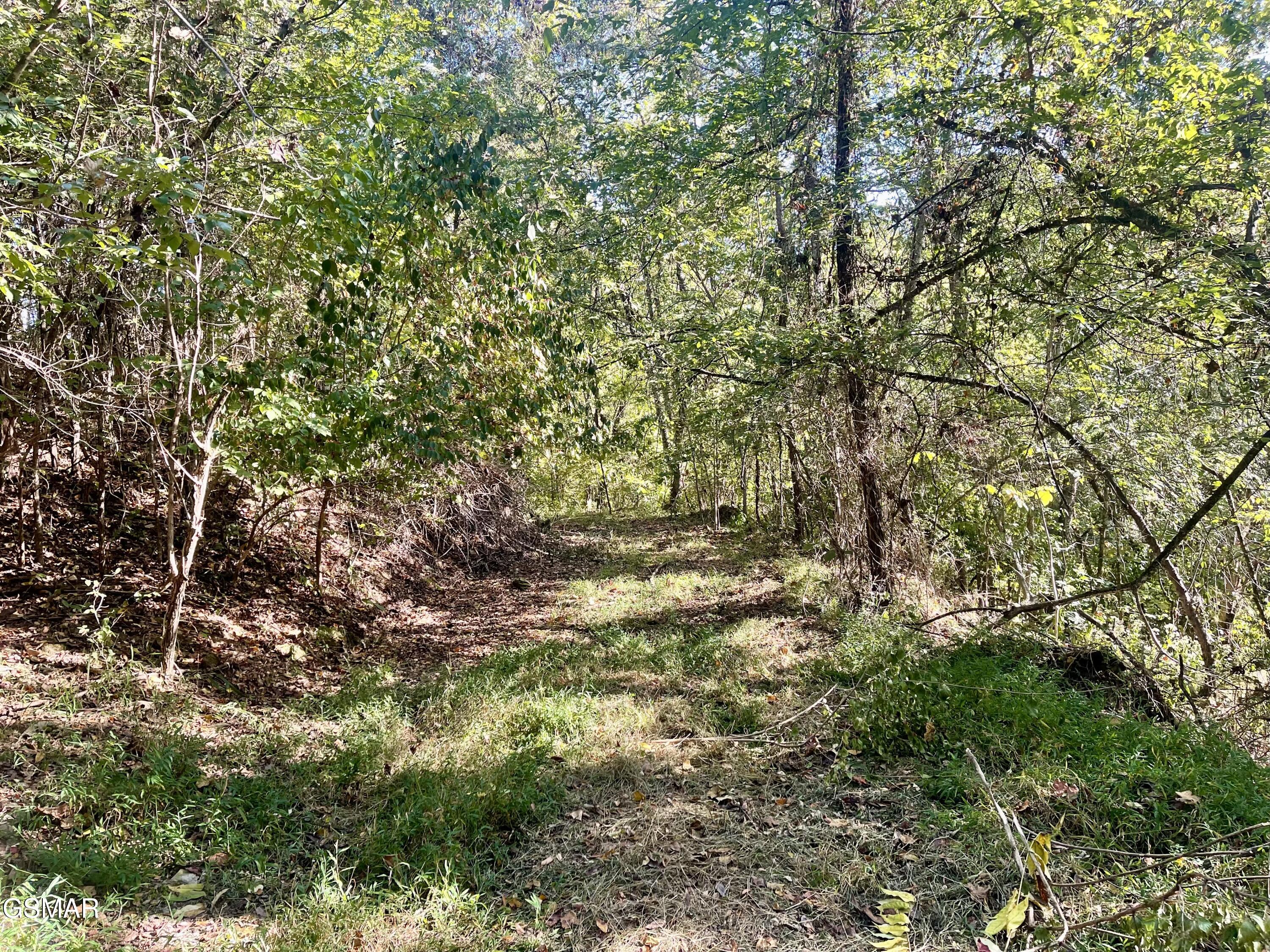 0 Thurman Road Newport TN 37821