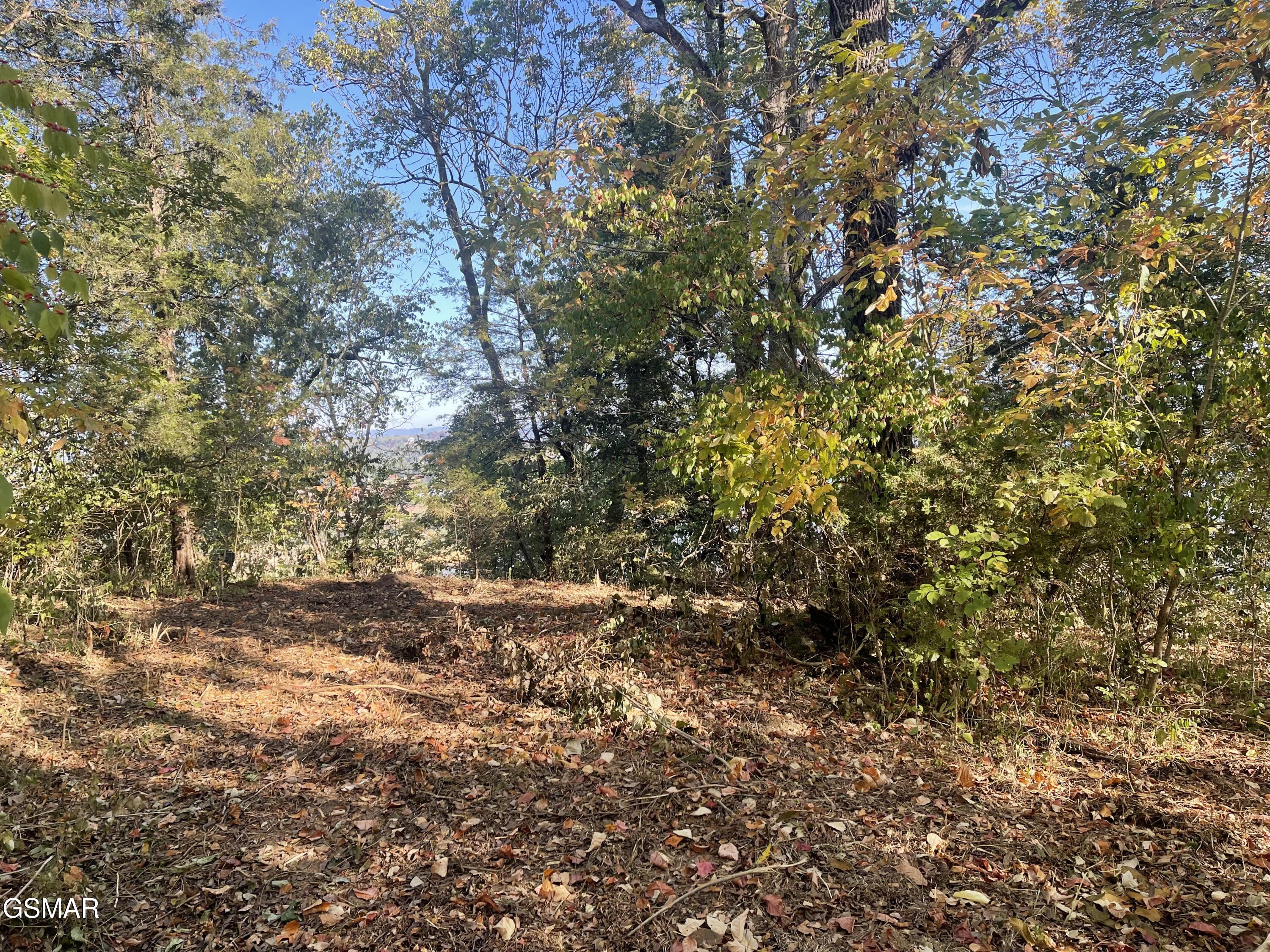 0 Thurman Road Newport TN 37821