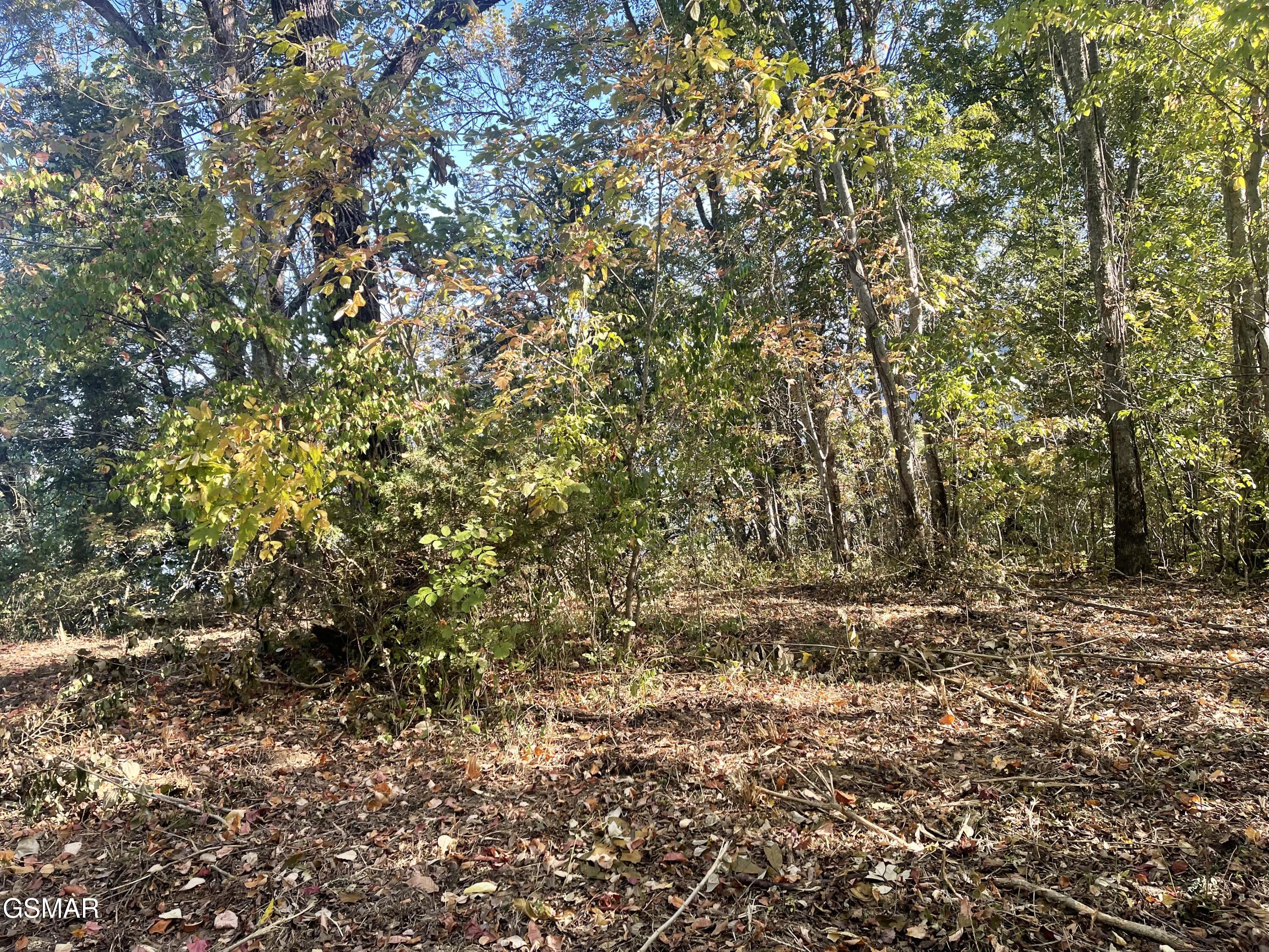 0 Thurman Road Newport TN 37821