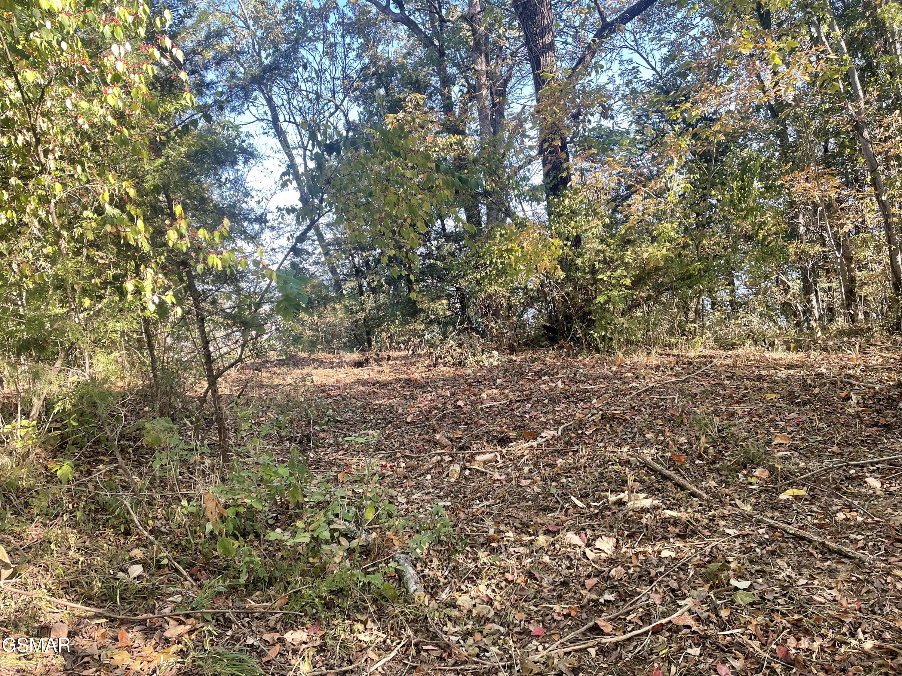 0 Thurman Road Newport TN 37821