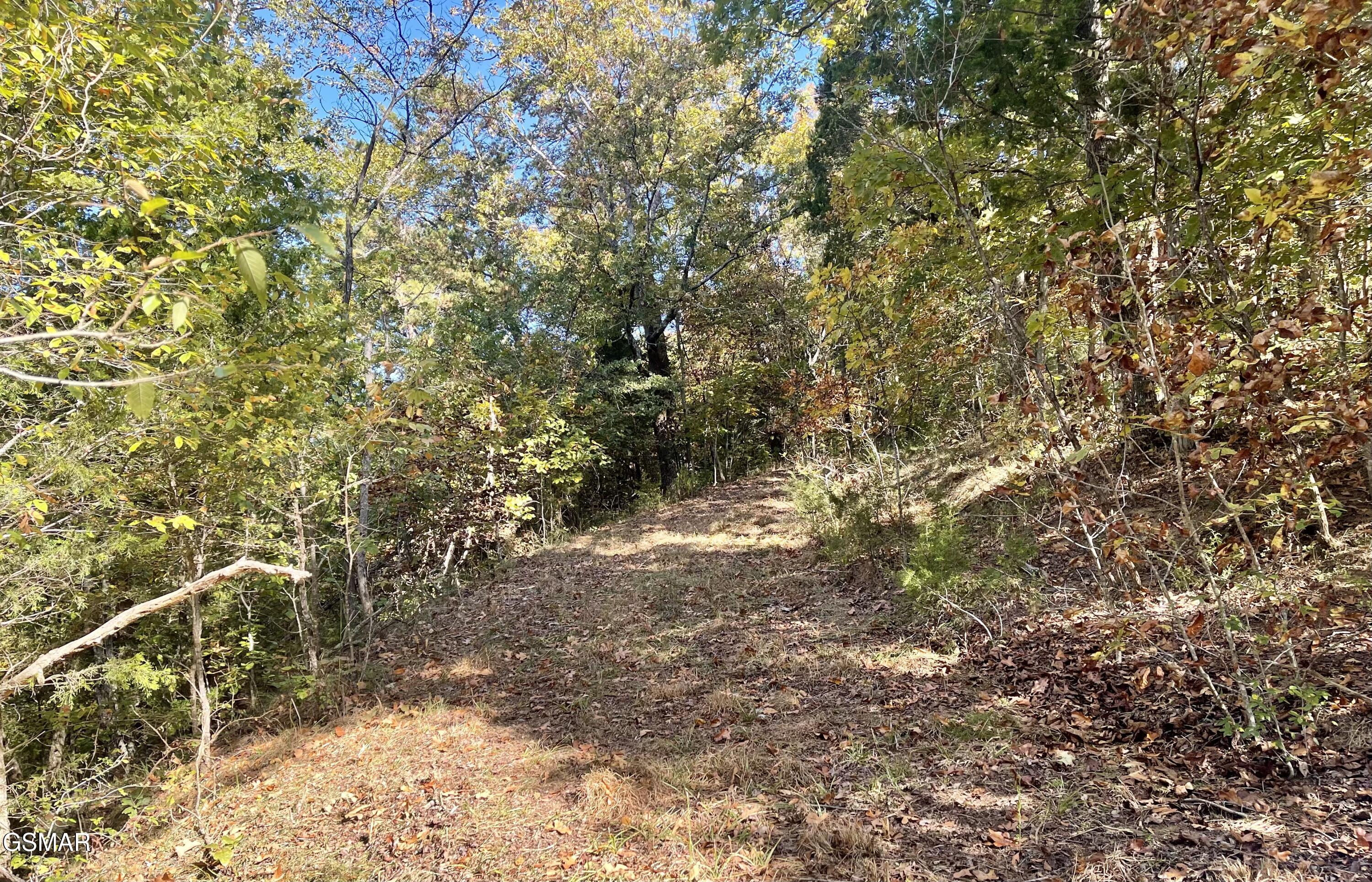 0 Thurman Road Newport TN 37821