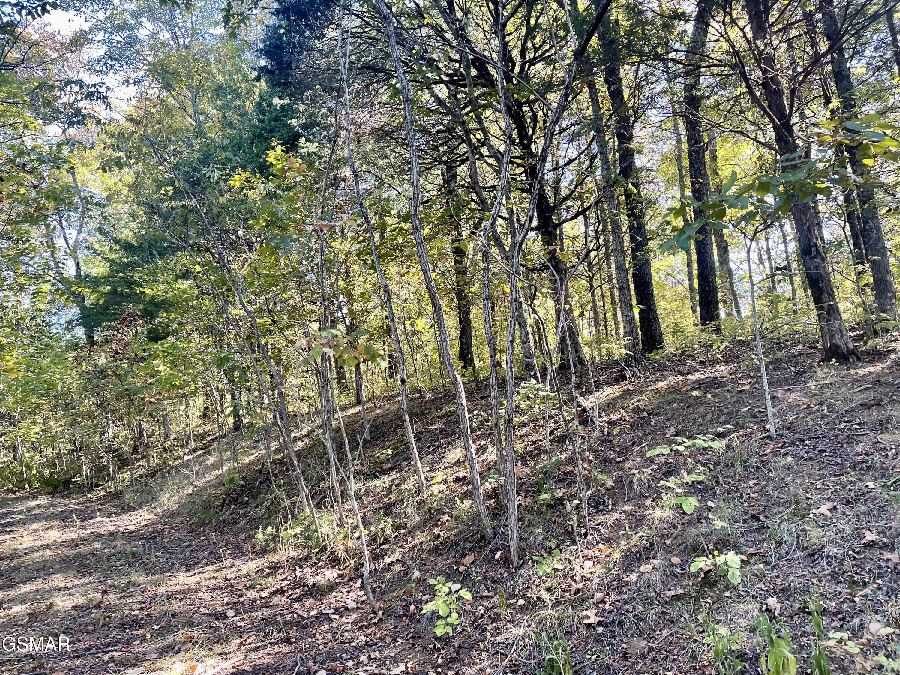 0 Thurman Road Newport TN 37821