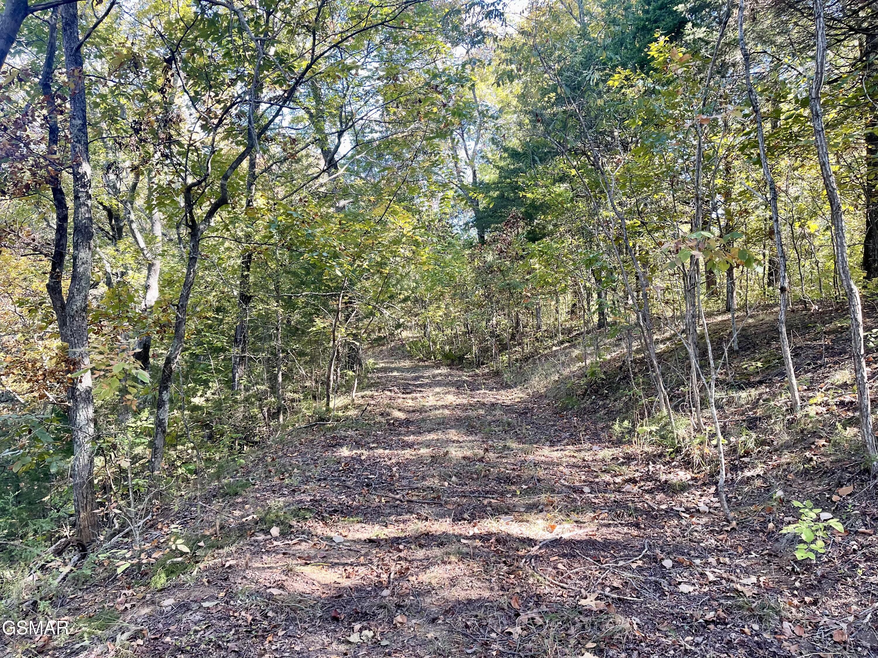 0 Thurman Road Newport TN 37821