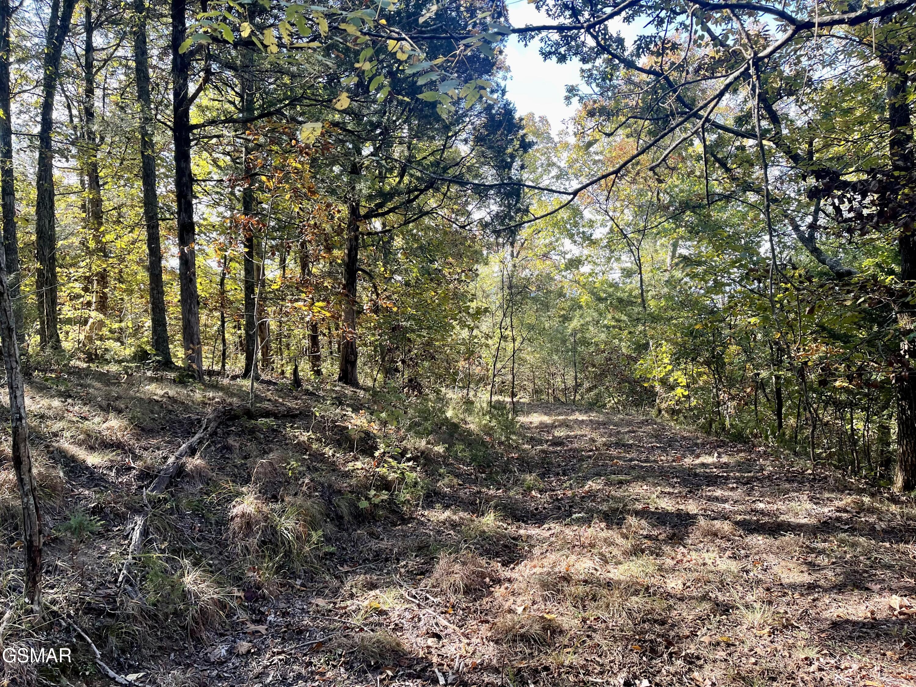 0 Thurman Road Newport TN 37821