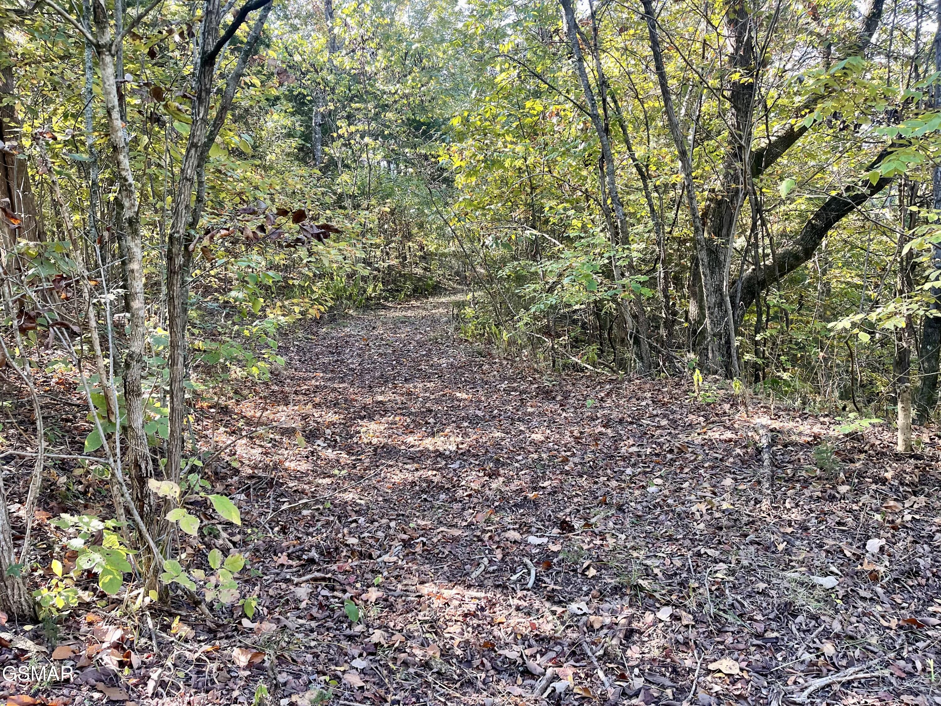 0 Thurman Road Newport TN 37821