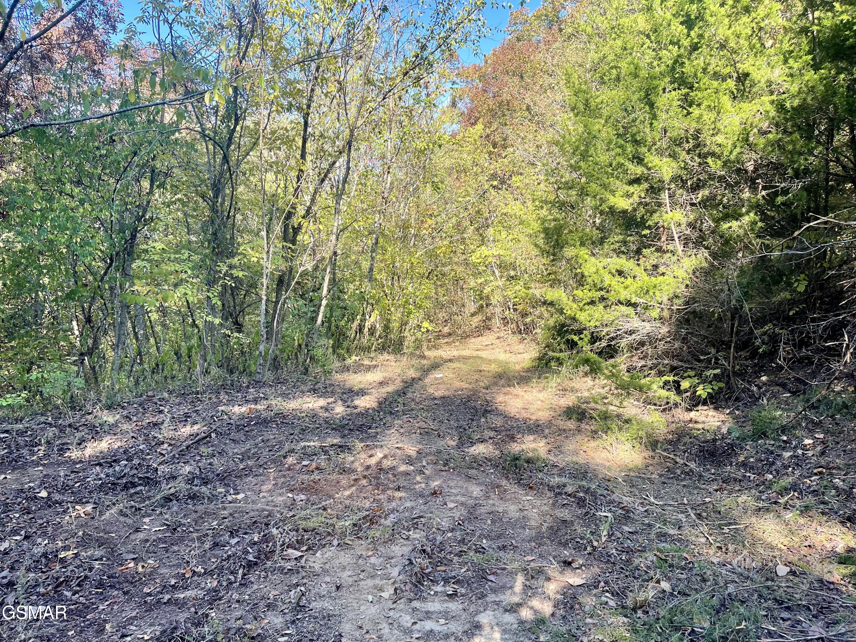 0 Thurman Road Newport TN 37821
