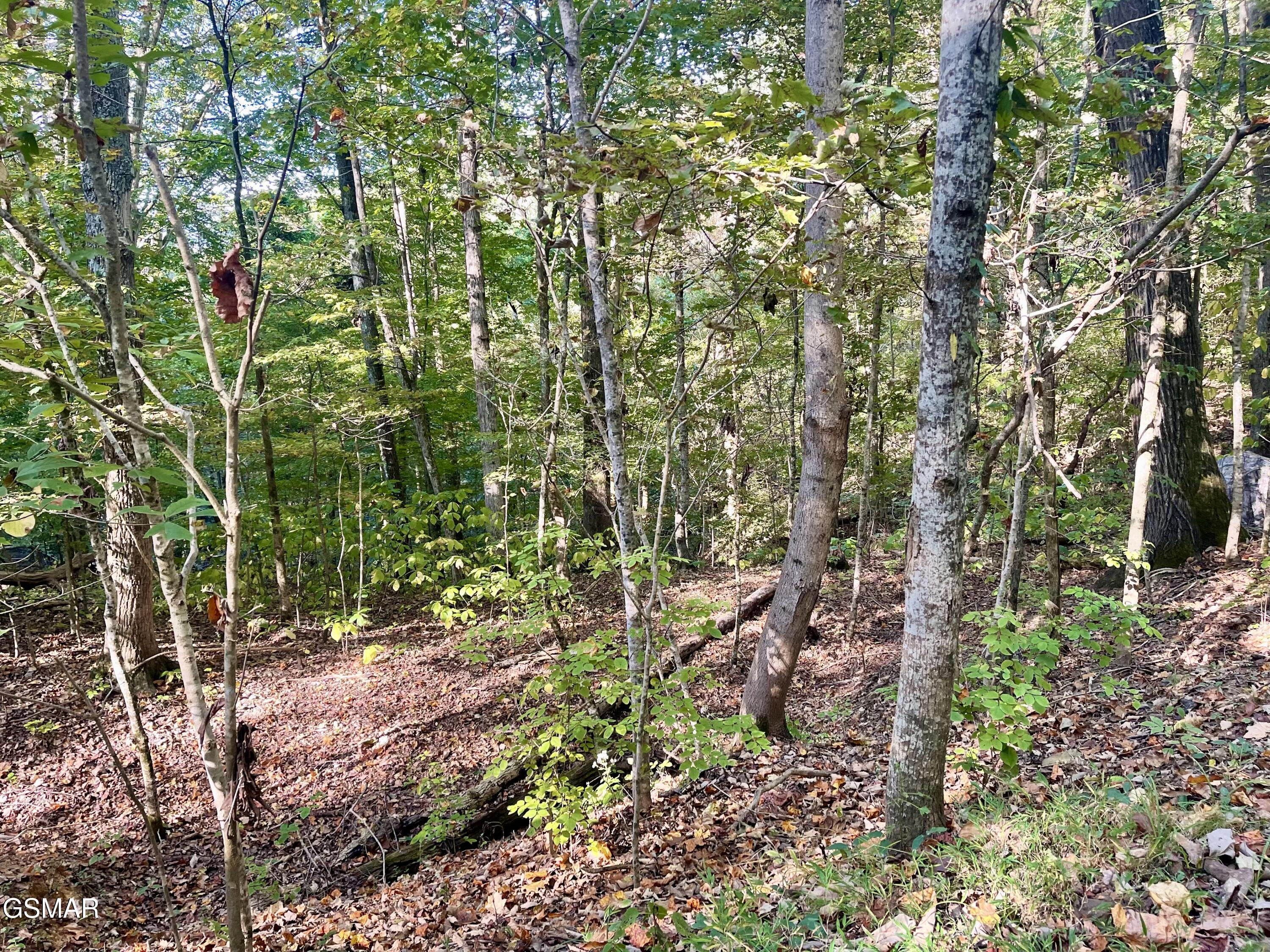 0 Thurman Road Newport TN 37821