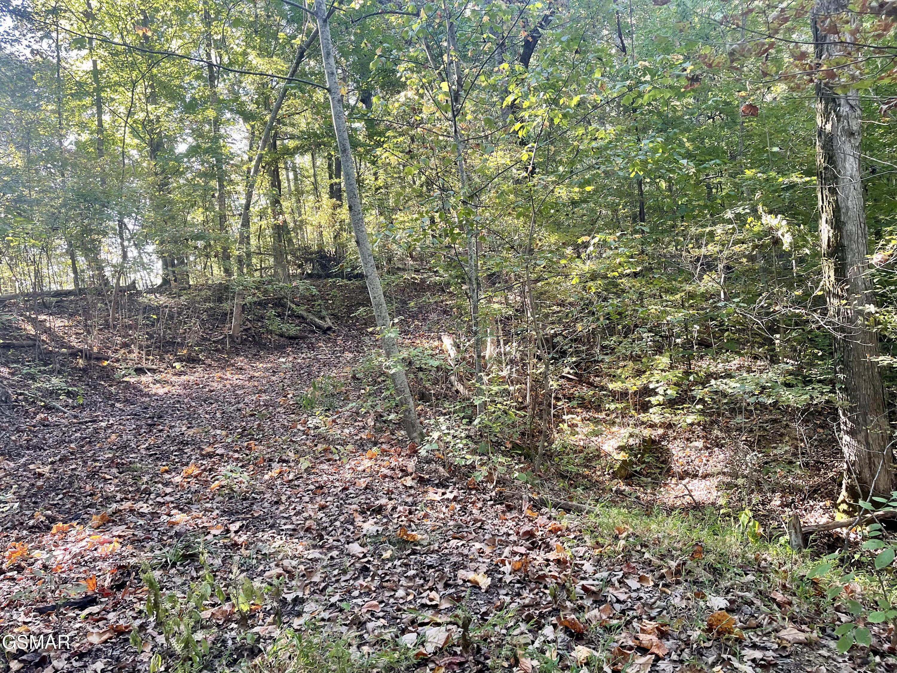 0 Thurman Road Newport TN 37821