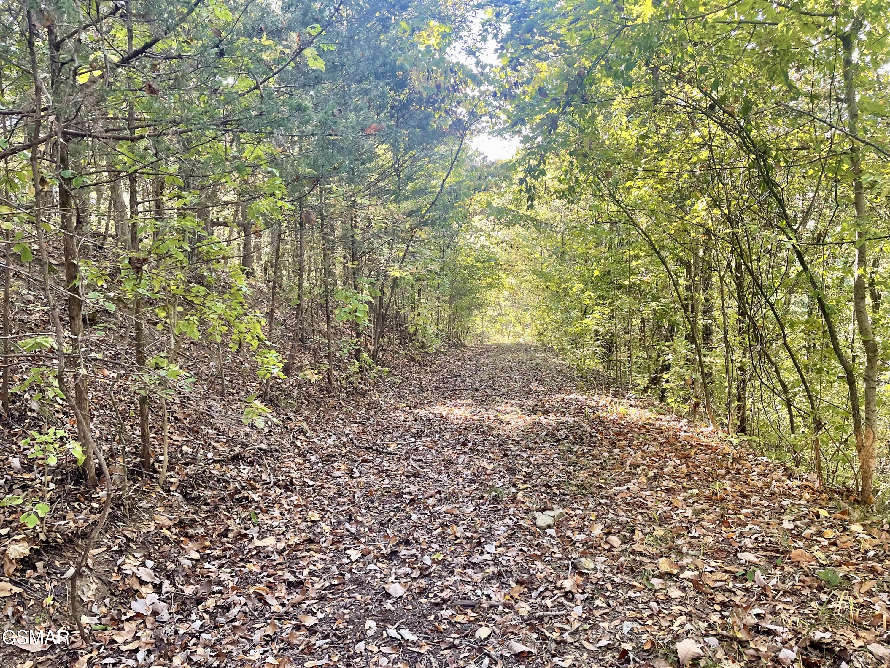 0 Thurman Road Newport TN 37821