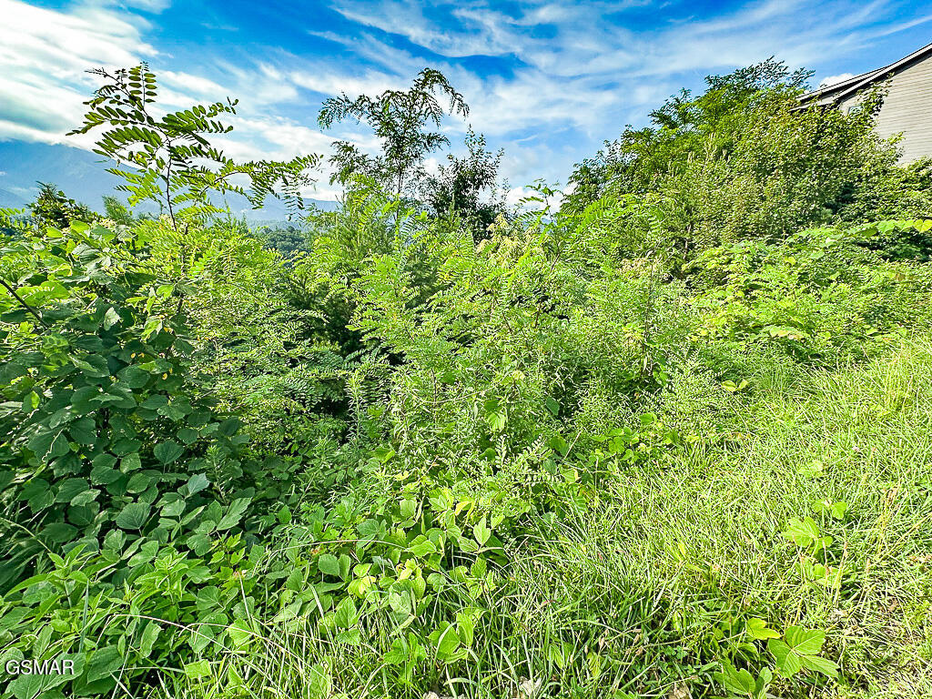 Lot 254 Village Loop Road Gatlinburg TN 37738