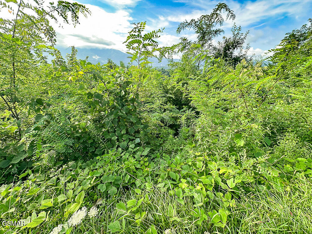 Lot 254 Village Loop Road Gatlinburg TN 37738