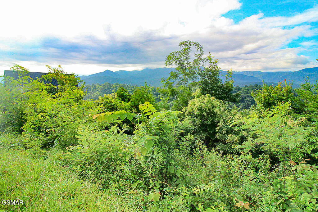Lot 254 Village Loop Road Gatlinburg TN 37738