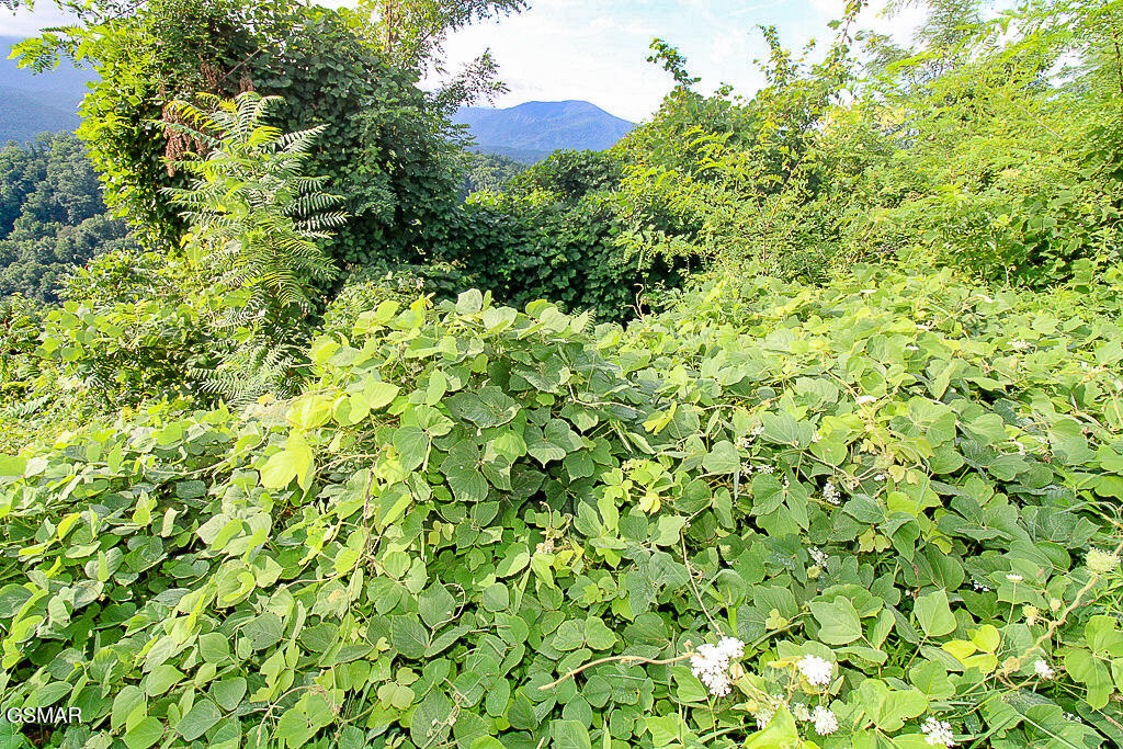 Lot 254 Village Loop Road Gatlinburg TN 37738