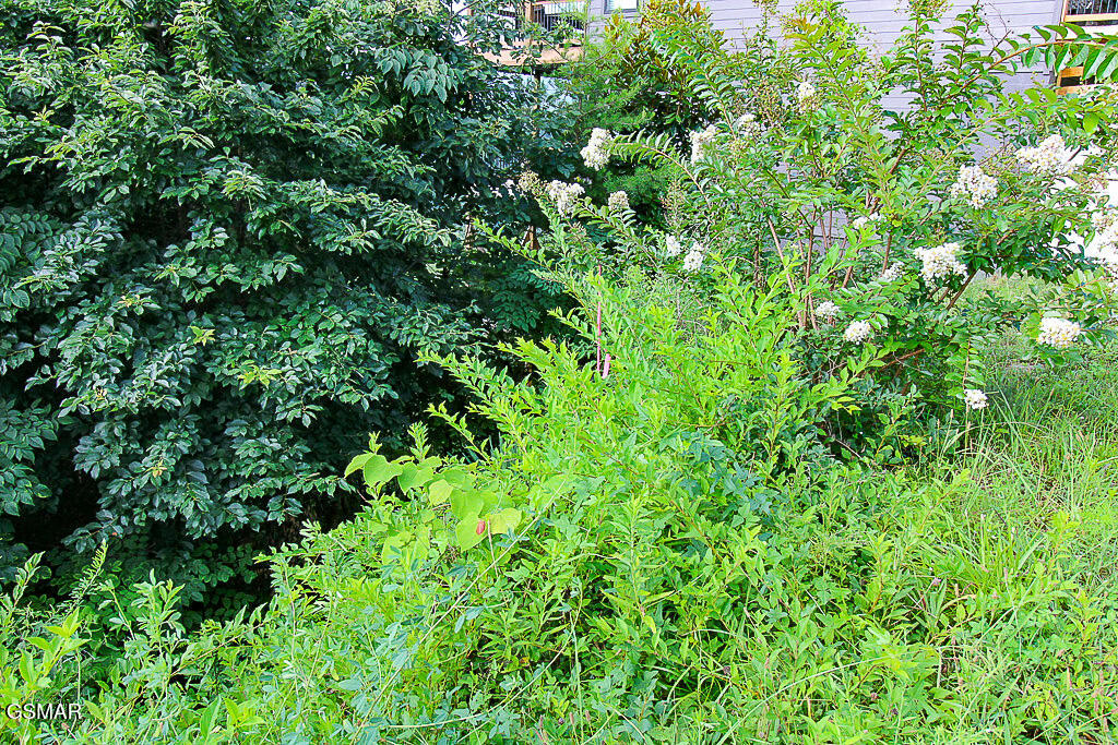 Lot 254 Village Loop Road Gatlinburg TN 37738