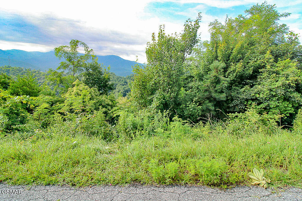 Lot 254 Village Loop Road Gatlinburg TN 37738