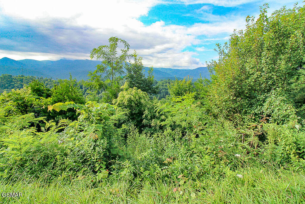 Lot 254 Village Loop Road Gatlinburg TN 37738