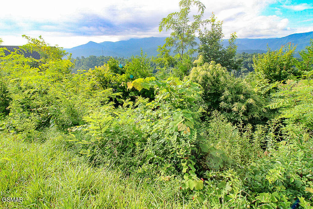 Lot 254 Village Loop Road Gatlinburg TN 37738