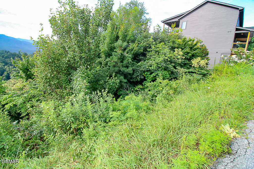 Lot 254 Village Loop Road Gatlinburg TN 37738