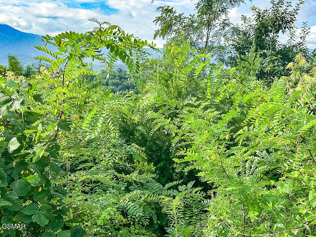 Lot 254 Village Loop Road Gatlinburg TN 37738
