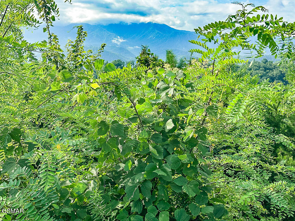 Lot 254 Village Loop Road Gatlinburg TN 37738